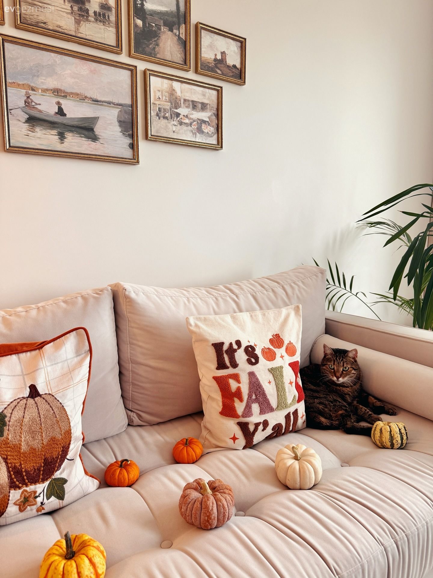 Çerçeve, Koltuk takımı, Kırlent, Ev tekstili