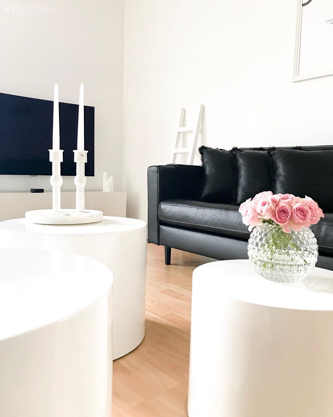 Salon, Siyah, Beyaz, Pudra pembe, Koltuk takımı, Tablo, Duvar dekorasyonu, Kırlent, Ev tekstili, Peluş, Sehpa üstü aksesuarı, Ev Aksesuar, Metal ayaklı sehpa, Sehpa, Puf, Şamdan