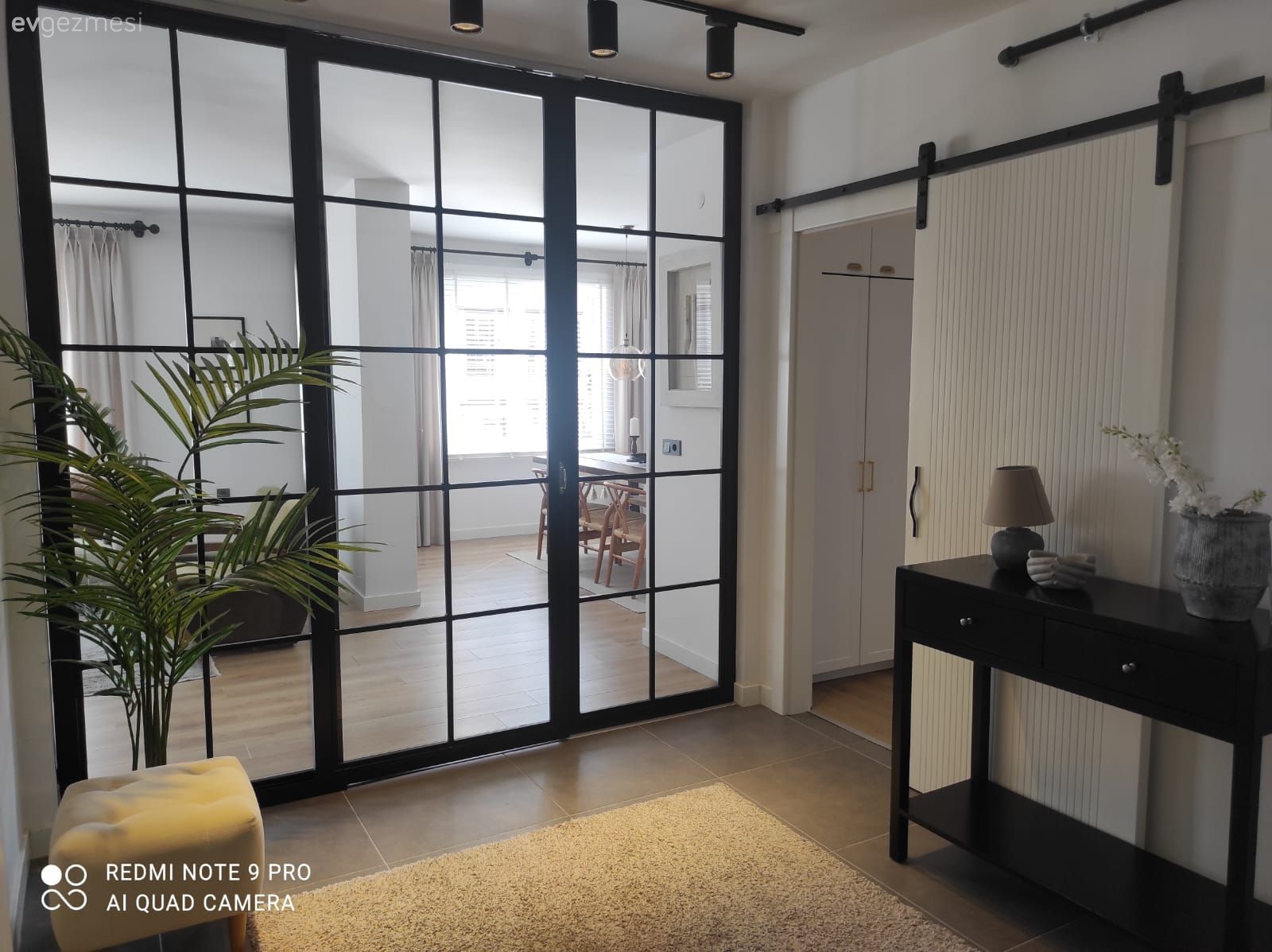 Antre, Cam kapı, Kapı , Sürgü kapı, Siyah, Spot aydınlatma, Aydınlatma, Puf, Ev bitkisi, Halı, Dresuar