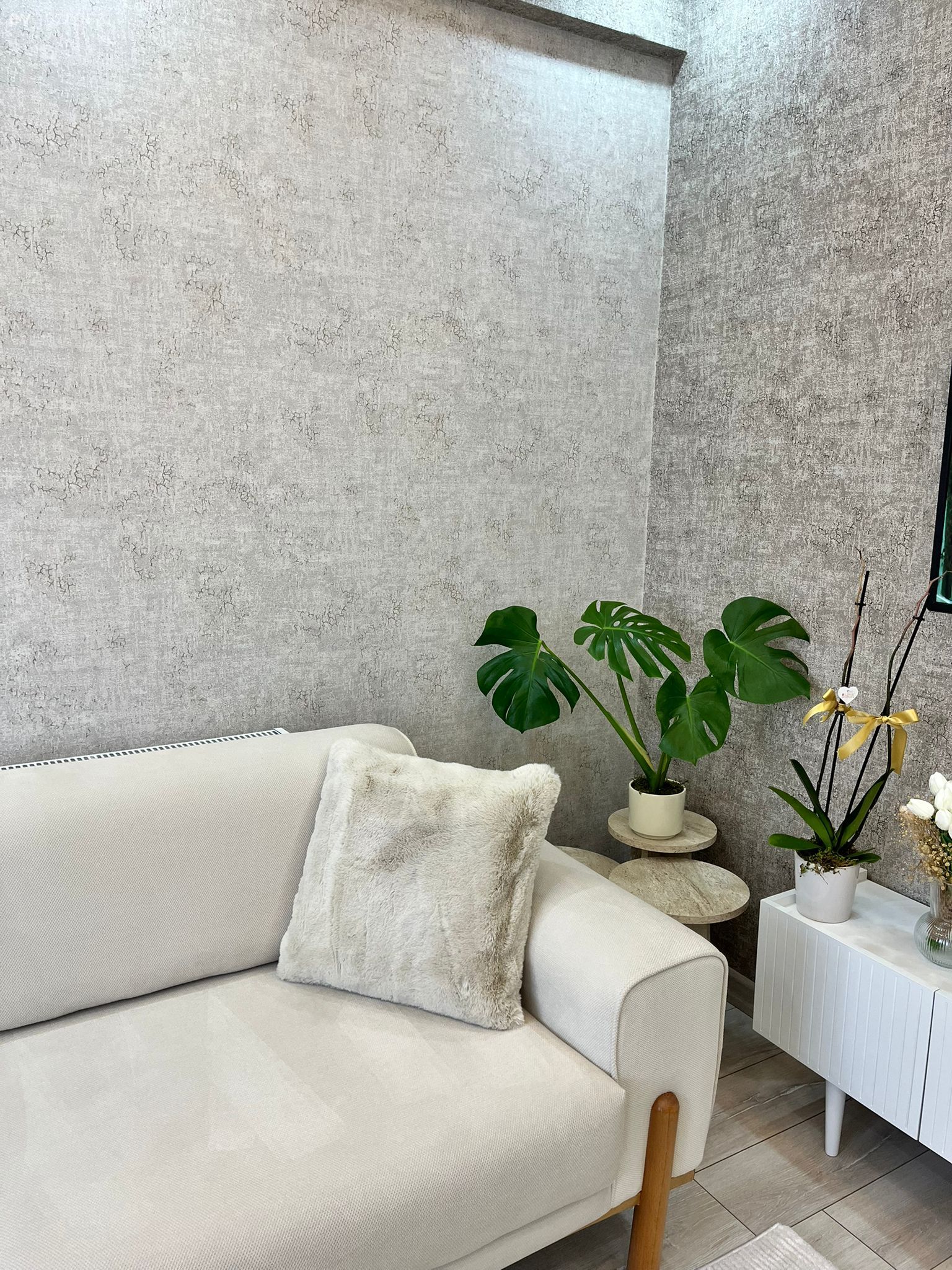 Gri duvar, Ev bitkisi, Koltuk takımı, Tv ünitesi, Tv ünitesi aksesuarları, Ev Aksesuar