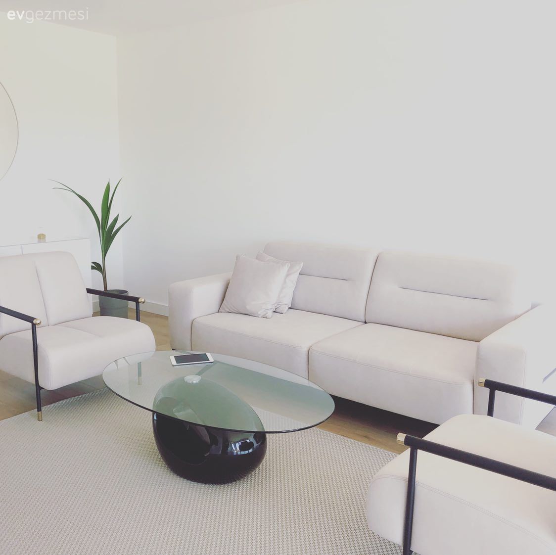 Salon, Beyaz, Siyah, Koltuk takımı, Kırlent, Ev bitkisi, Cam orta sehpa, Orta sehpa, Halı, Salon halısı