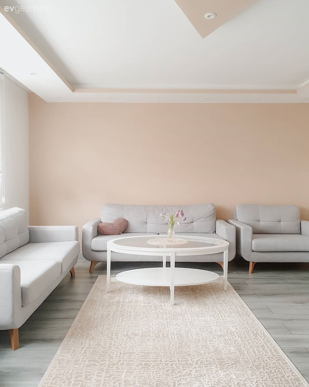 Salon, Modern, Gri, Bej, Beyaz, Krem, Yavruağzı, Koltuk takımı, Orta sehpa, Sehpa, Halı, Salon halısı, Zebra Perde, Perde, Kırlent, Ev tekstili, Berjer