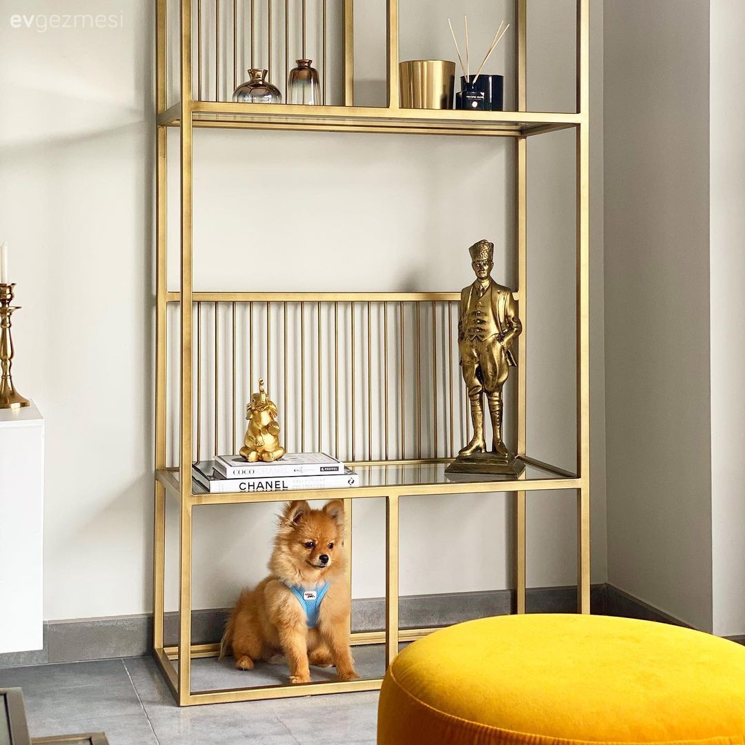 Modern, Altın, Beyaz, Ev Aksesuar, Puf, Vitrin, Dekoratif Objeler