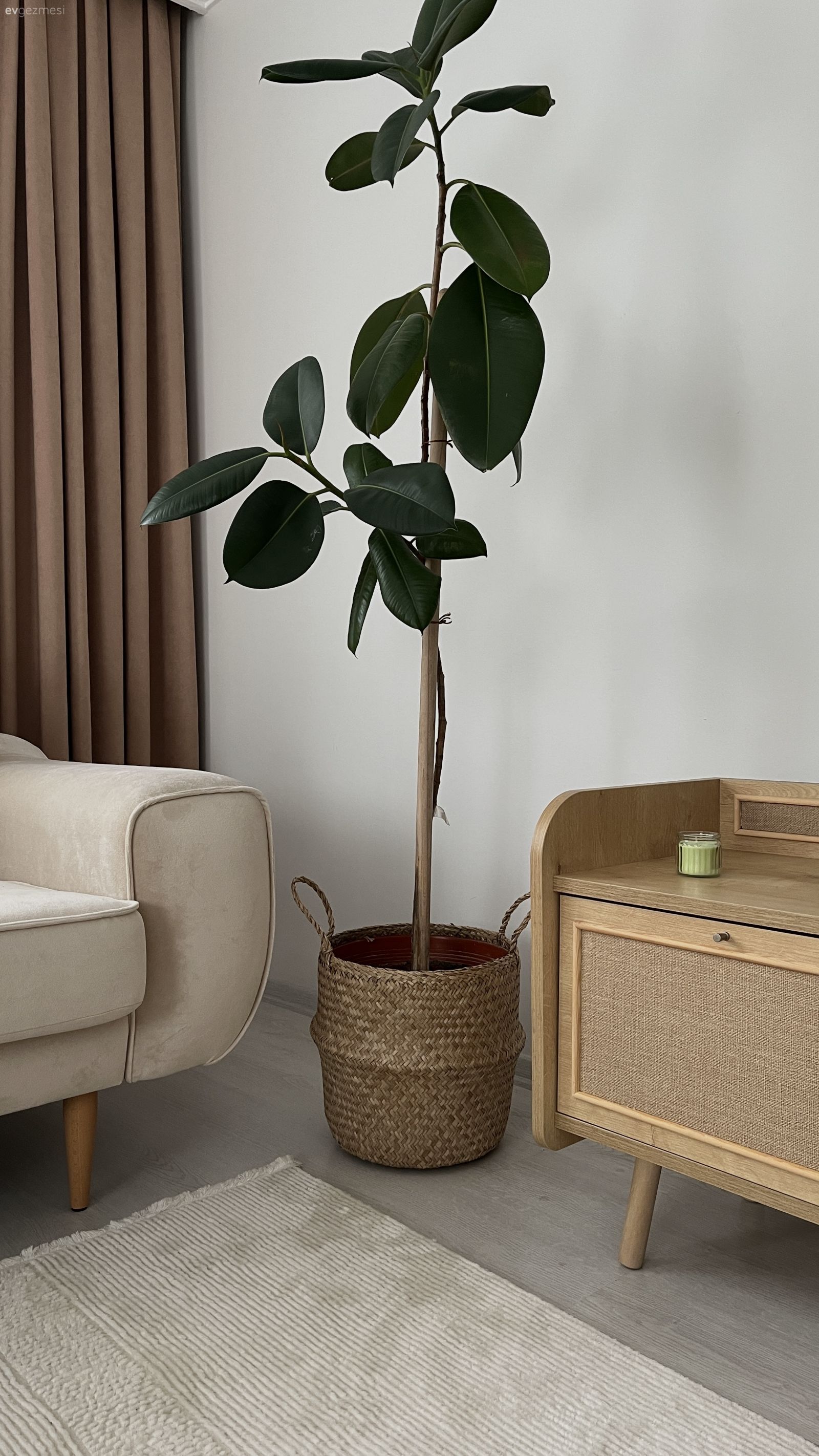 Bu Salonda Koltuk Takımındaki Uyum Her Şeye Yansımış