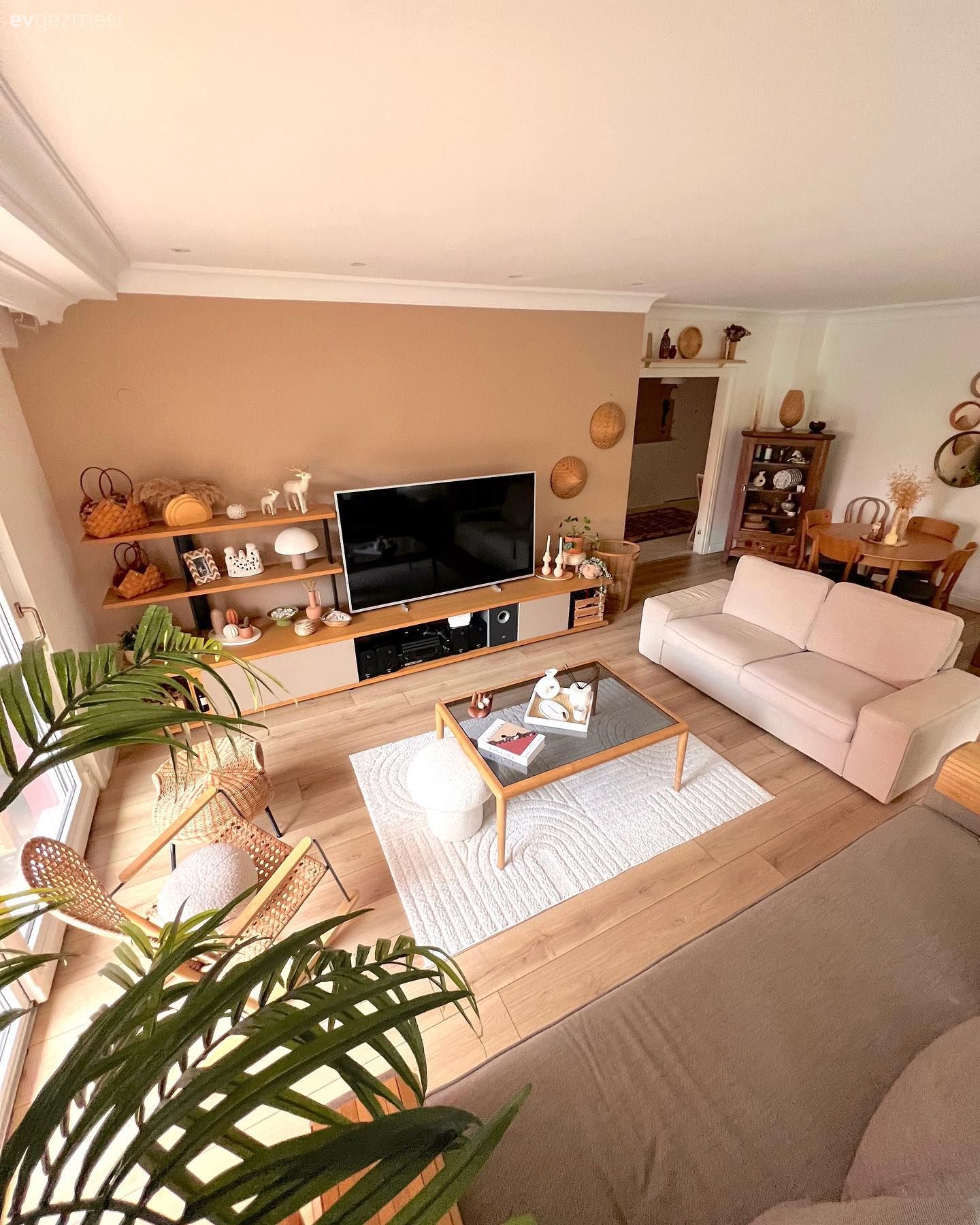 Salon, Modern, Beyaz, Vizon, Gri, Tv ünitesi, Tv ünitesi aksesuarları, Ev Aksesuar, Somon Rengi, Orta sehpa, Sehpa, Halı, Salon halısı, Sandalye, Yemek masası, Ev bitkisi, Koltuk takımı, Ahşap Mobilya