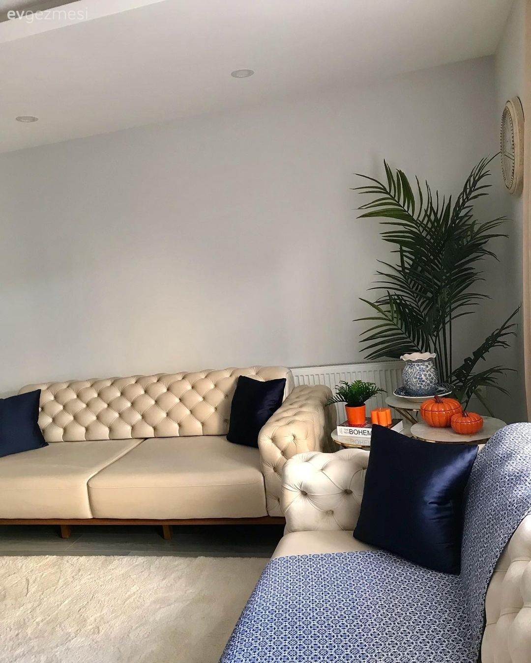 Salon, Modern, Beyaz, Lacivert, Mavi, Krem, Koltuk takımı, Halı, Salon halısı, Vizon, Bej, Orta sehpa, Sehpa, Dekoratif Objeler, Spot aydınlatma, Aydınlatma, Ev bitkisi