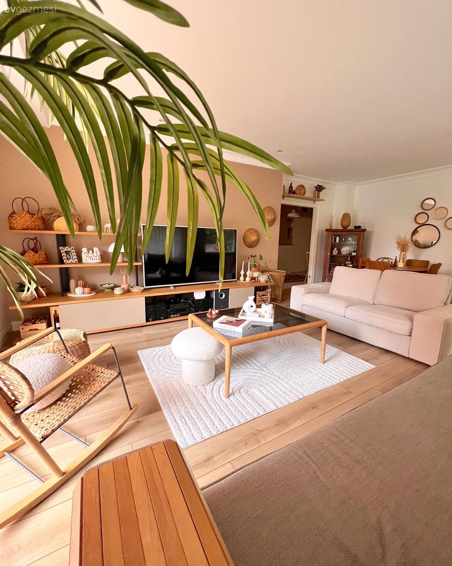 Salon, Modern, Beyaz, Vizon, Ahşap Mobilya, Koltuk takımı, Tv ünitesi, Tv ünitesi aksesuarları, Ev Aksesuar, Duvar rafı, Duvar dekorasyonu, Orta sehpa, Sehpa, Halı, Salon halısı, Ev bitkisi, Somon Rengi, Hasır, Dekoratif Objeler