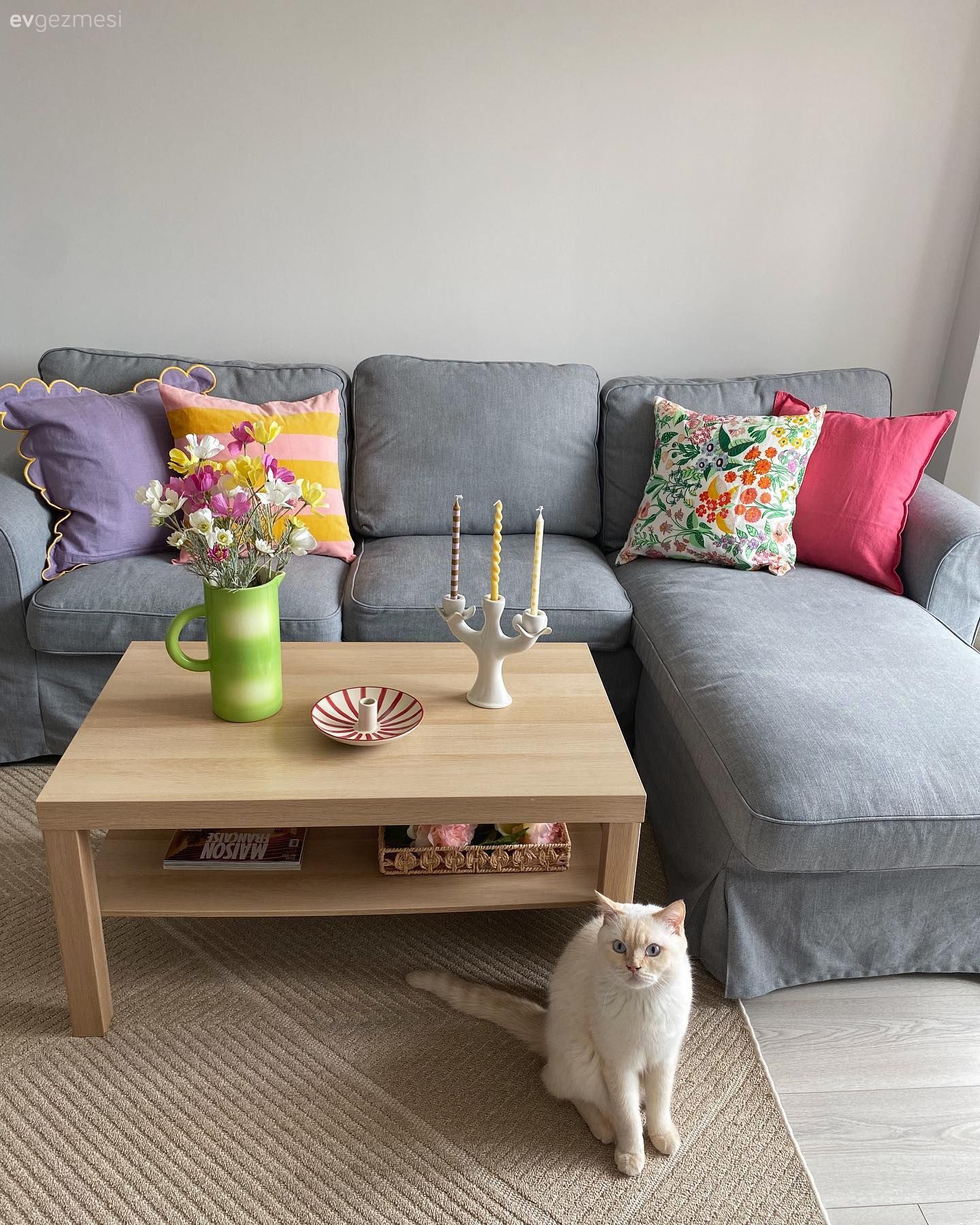 Kırlentlerin Bir Ortamı Nasıl Değiştirdiğini Örnekleyen Bir Dekor!