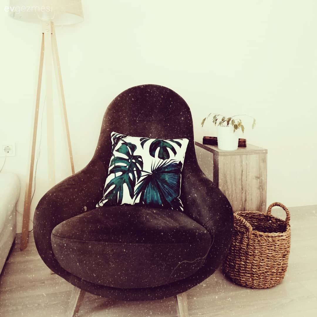 Ev Gezmesi: Başrolü Bitkilerin Kaptığı Keyifli Bir Salon