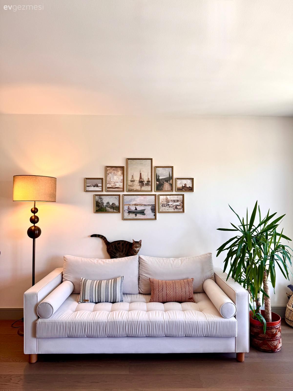 Modern, Bohem Dekorasyon, Beyaz koltuk, Beyaz, Kahverengi, Koltuk takımı, Ev bitkisi, Çerçeve, Lambader, Aydınlatma, Kırlent, Ev tekstili, Duvar dekorasyonu, Tablo