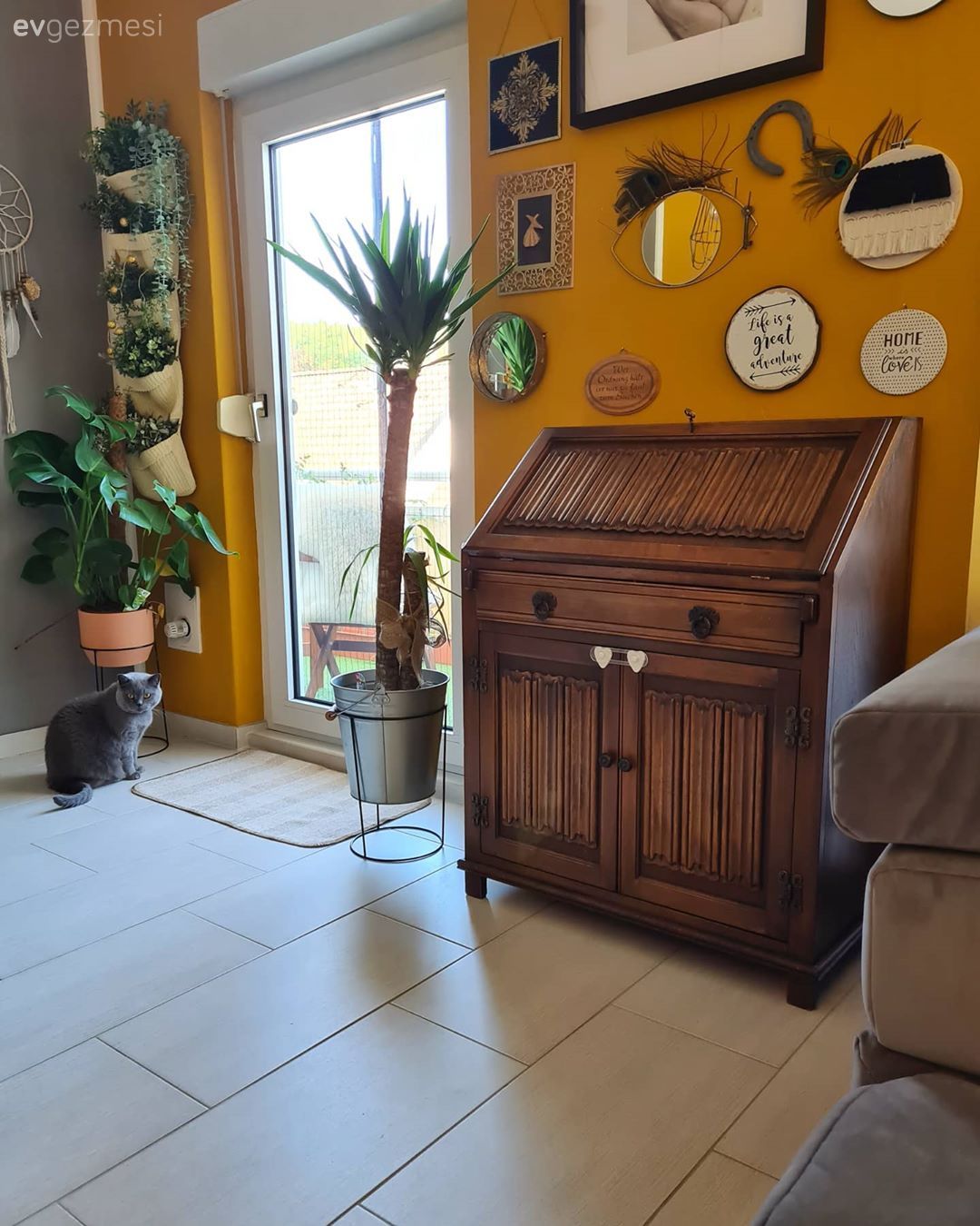 Gri duvar, Ev bitkisi, Ahşap Mobilya, Duvar dekorasyonu, Dekoratif Objeler, Tablo