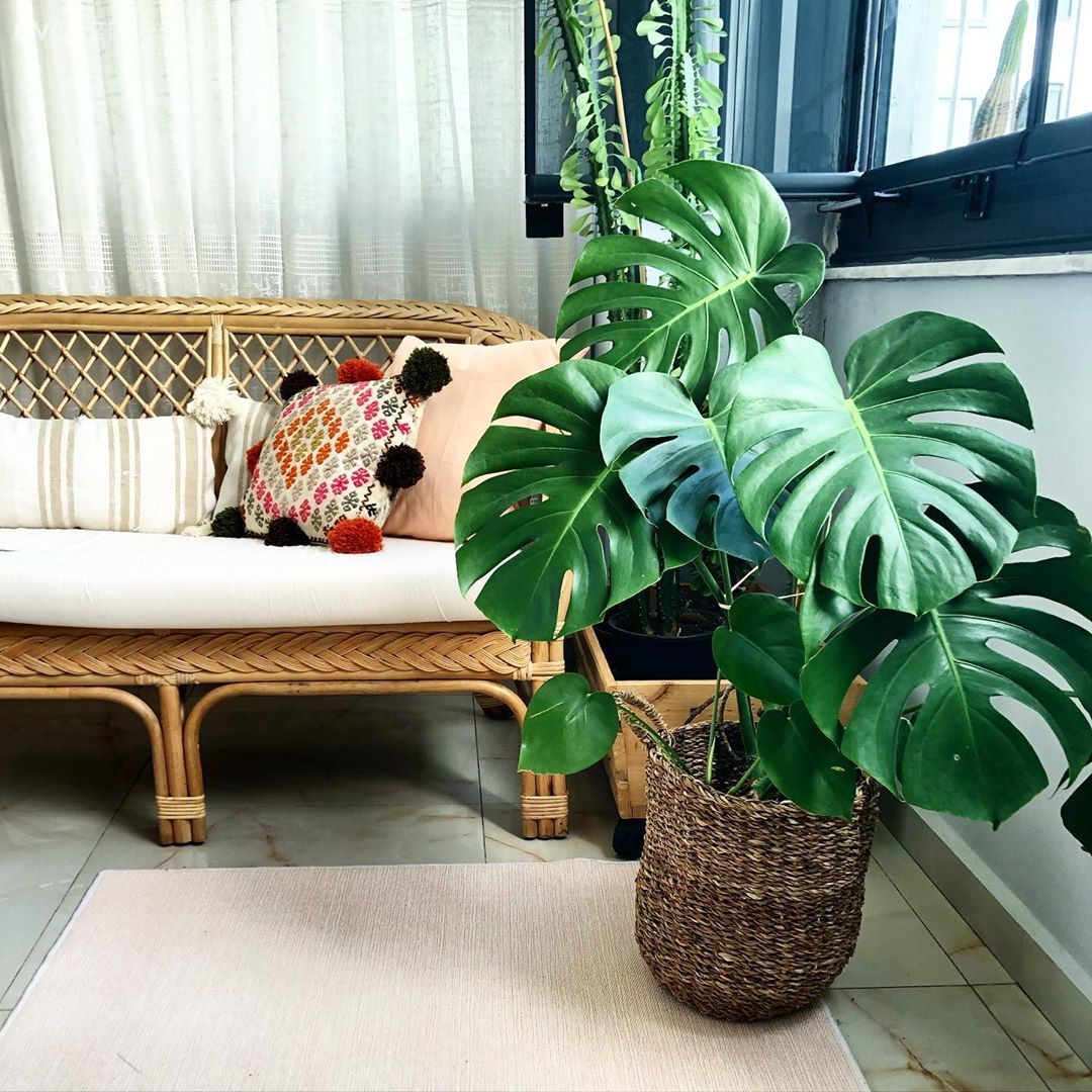 Balkon, Hasır, Hasır sandalye, Ev bitkisi, Balkon duvar dekorasyonu, Kırlent, Ev tekstili, Balkon masası, Sandalye