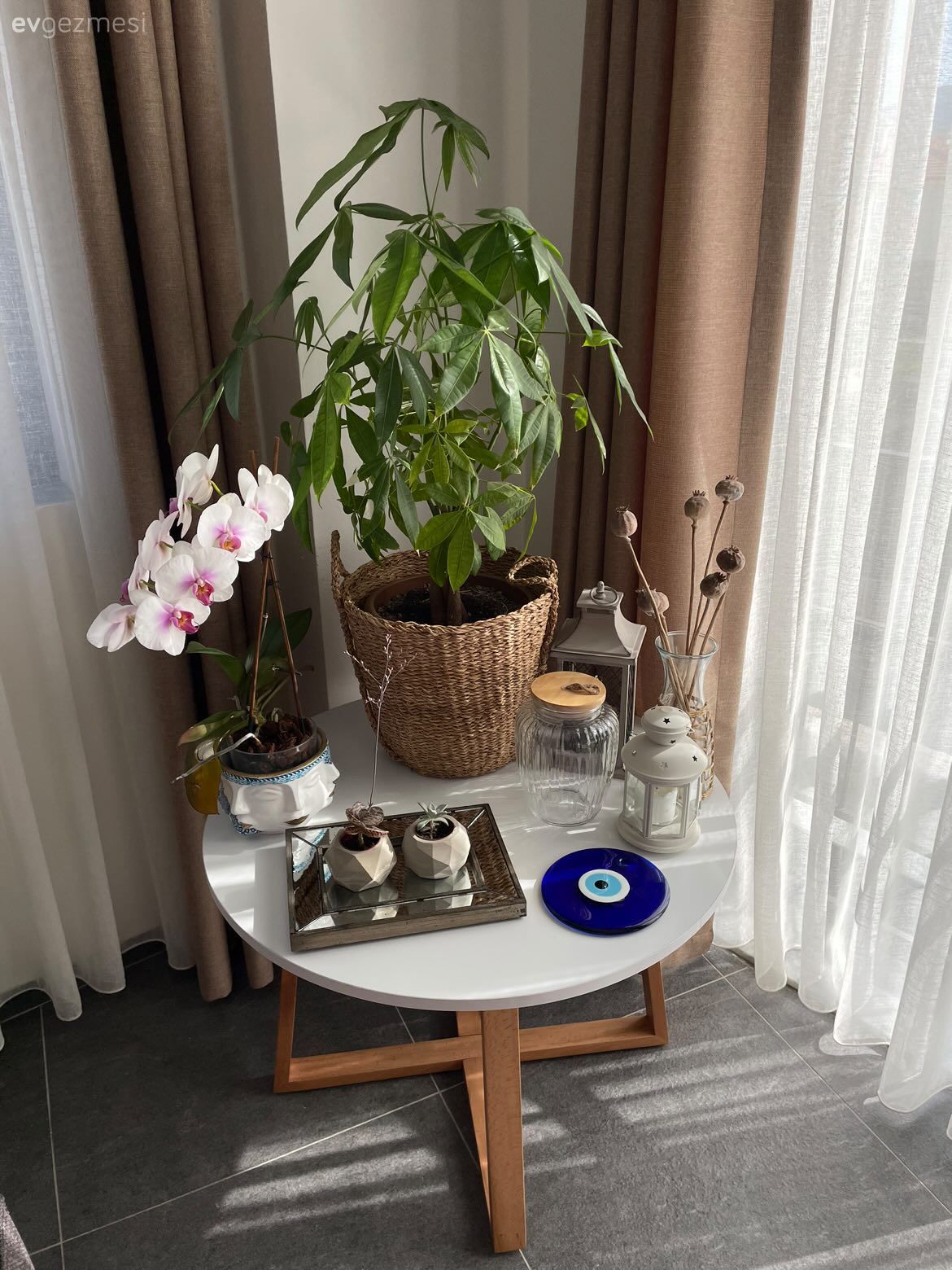 Yan sehpa, Sehpa, Kahverengi, Krem, Fon perde, Perde, Tül perde, Zemin seramikleri, Ev bitkisi