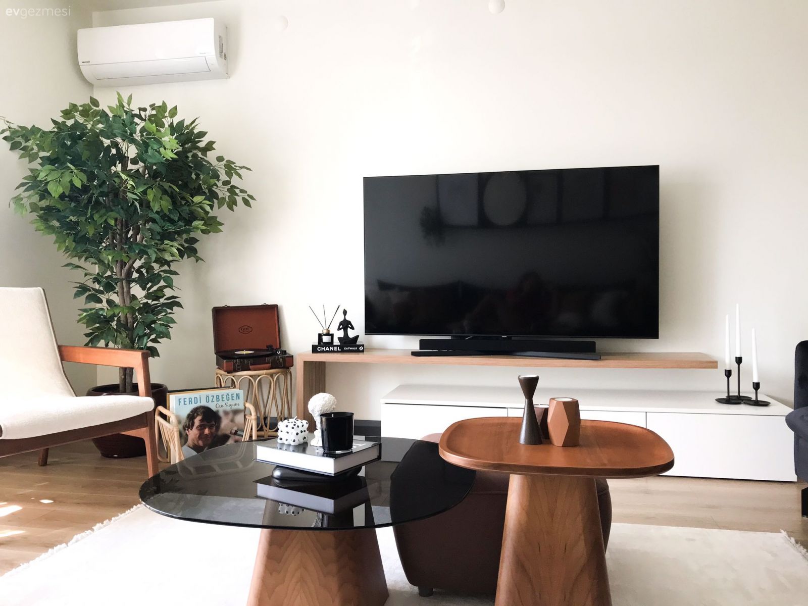 Salon, Modern, Orta sehpa, Sehpa, Ev bitkisi, Tv ünitesi, Tv ünitesi aksesuarları, Ev Aksesuar, Sandalye, Siyah, Kahverengi, Sehpa üstü aksesuarı