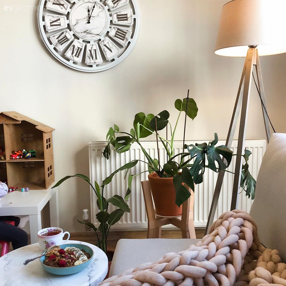 Bu Kayseri Evi İçindeki Bitkilerle Adeta Botanik Bahçesi