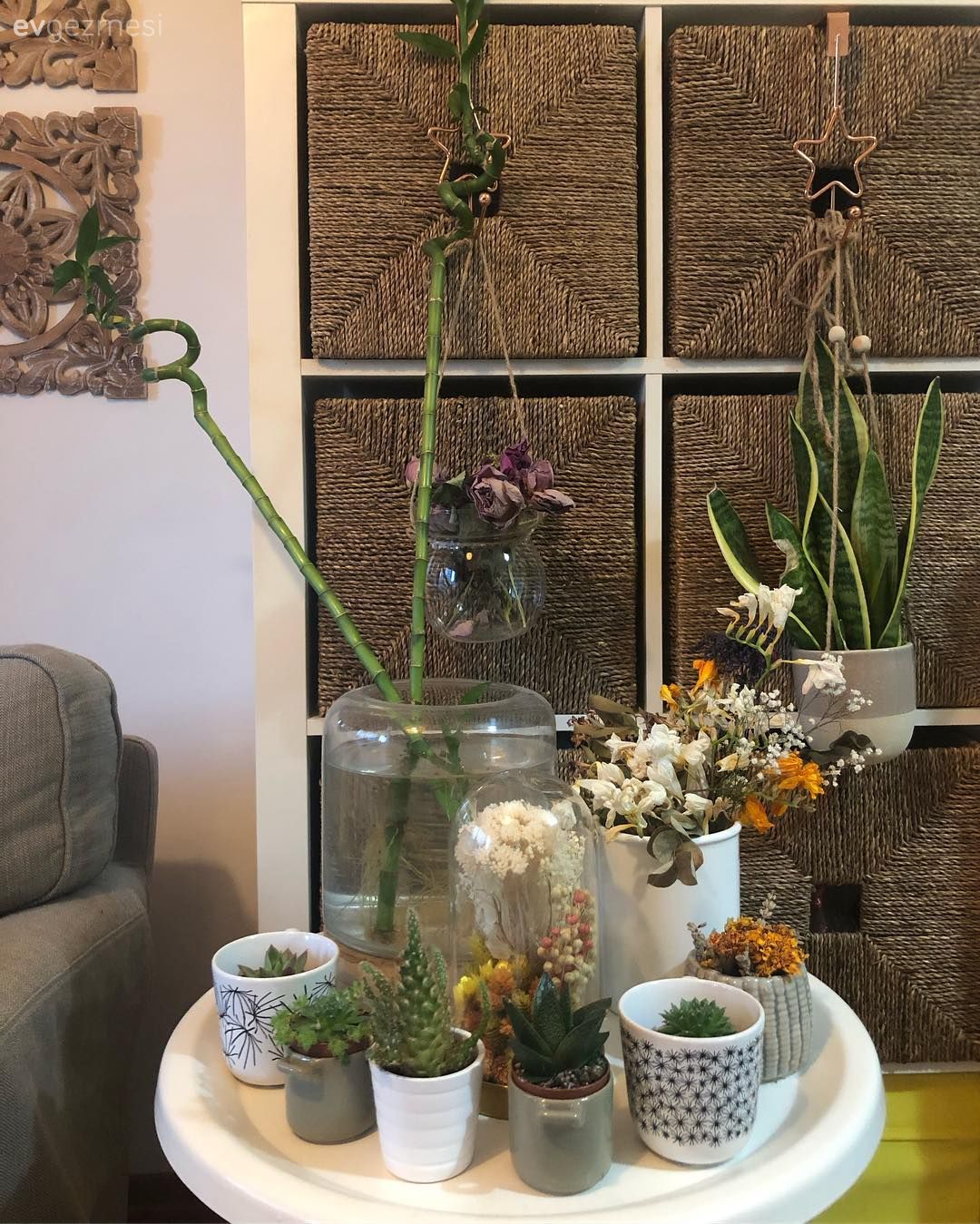 Salon, Dolap, Sehpa, Beyaz, Koltuk takımı, Gri, Hasır sepet, Kaktüs, Ev bitkisi, Vazo, Ev Aksesuar, Çerçeve, Duvar dekorasyonu