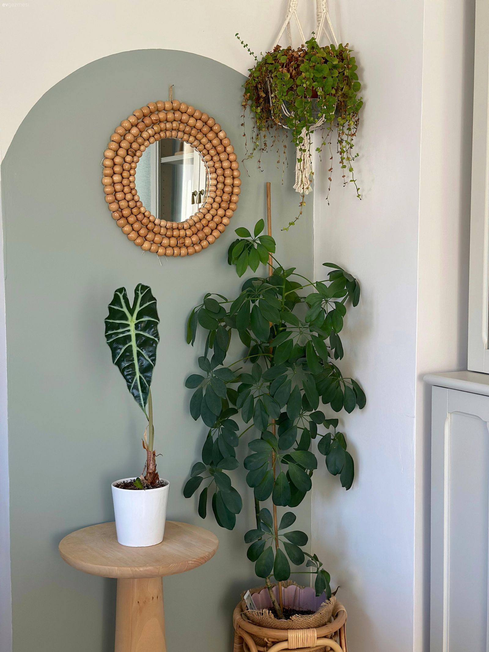 Yeşil duvar, Ev bitkisi, Yan sehpa, Sehpa, Dekoratif Objeler