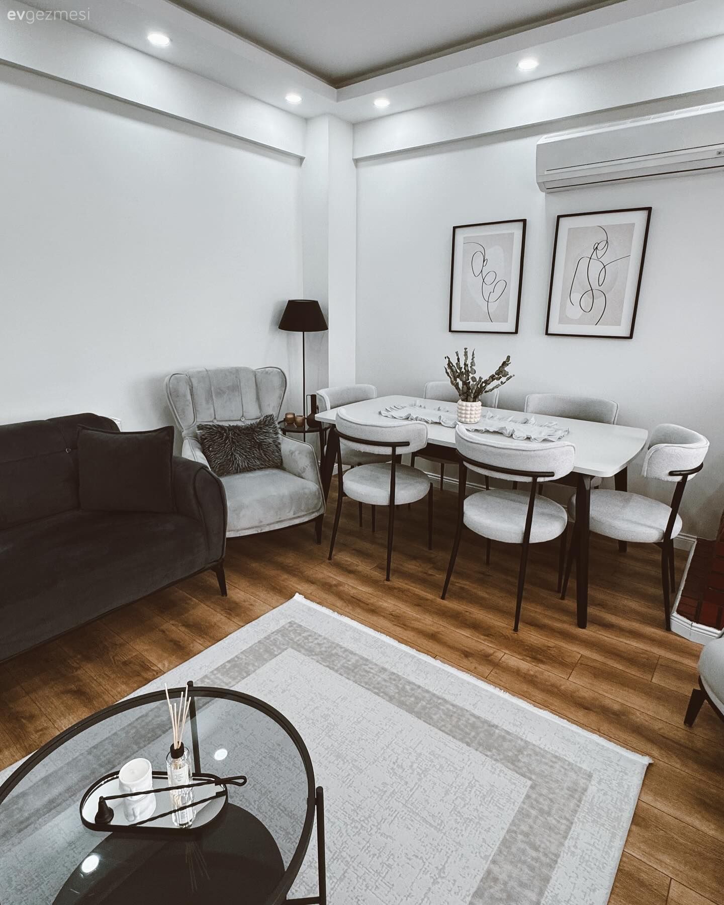 Salon, Modern, Beyaz, Siyah, Gri, Koltuk takımı, Berjer, Sandalye, Yemek masası, Tablo, Duvar dekorasyonu, Halı, Orta sehpa, Sehpa, Cam orta sehpa, Salon halısı, Spot aydınlatma, Aydınlatma