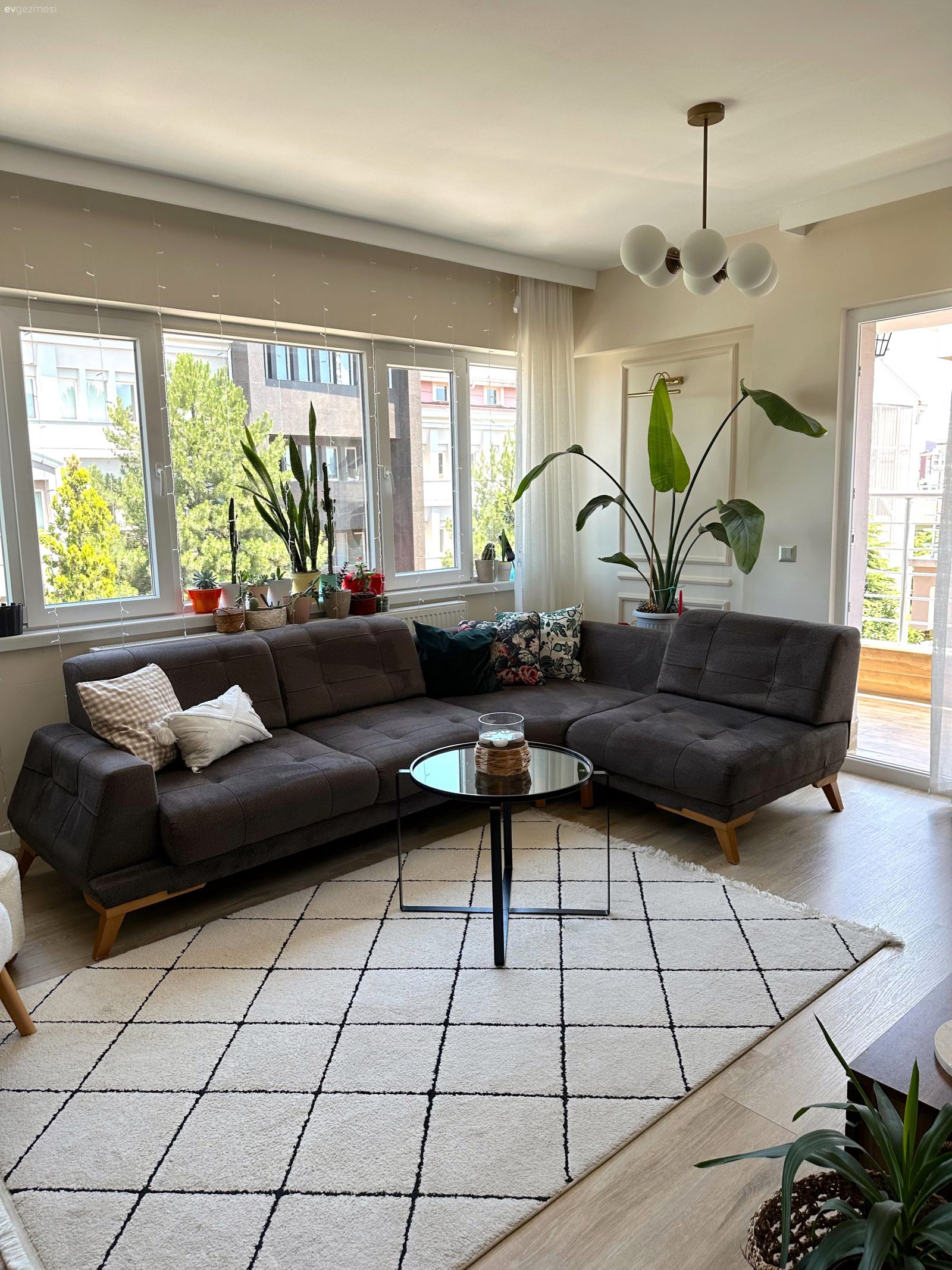 Salon, Modern, Gri, Beyaz, Köşe koltuk, Koltuk takımı, Ev bitkisi, Kırlent, Ev tekstili, Halı, Salon halısı, Orta sehpa, Sehpa, Avize, Aydınlatma, Salon avizesi, Dekoratif Objeler