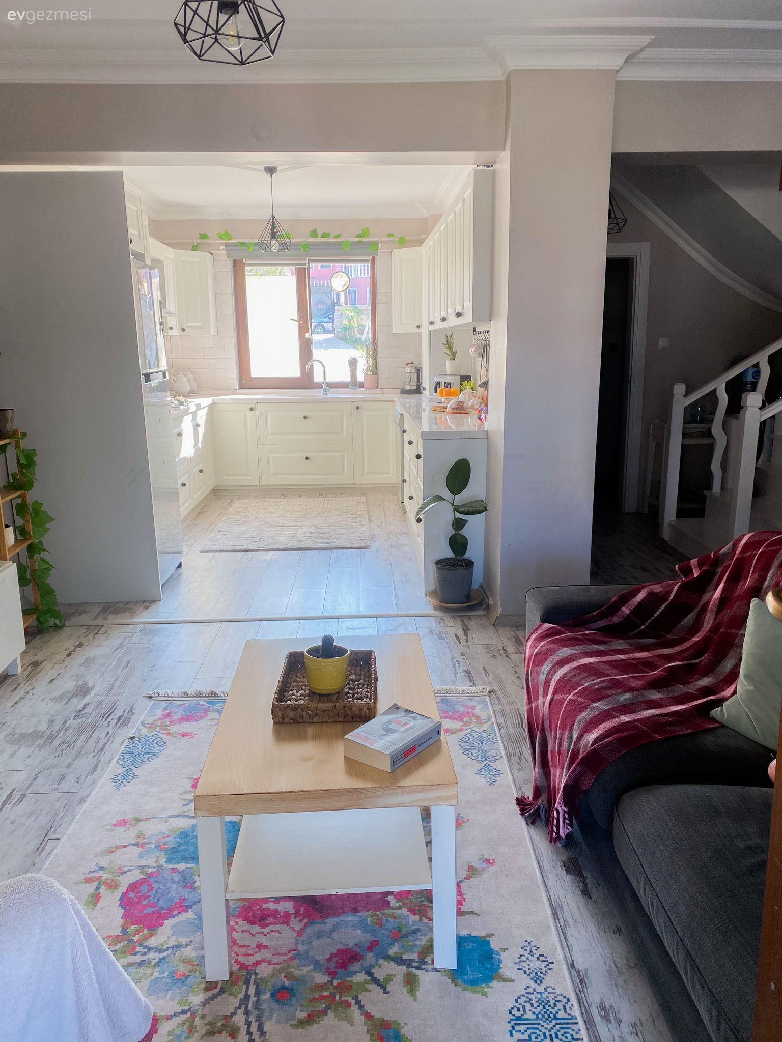 Salon, Country, Gri, Pembe, Beyaz, Kırmızı, Koltuk takımı, Orta sehpa, Sehpa, Halı, Salon halısı, Avize, Aydınlatma, Mavi