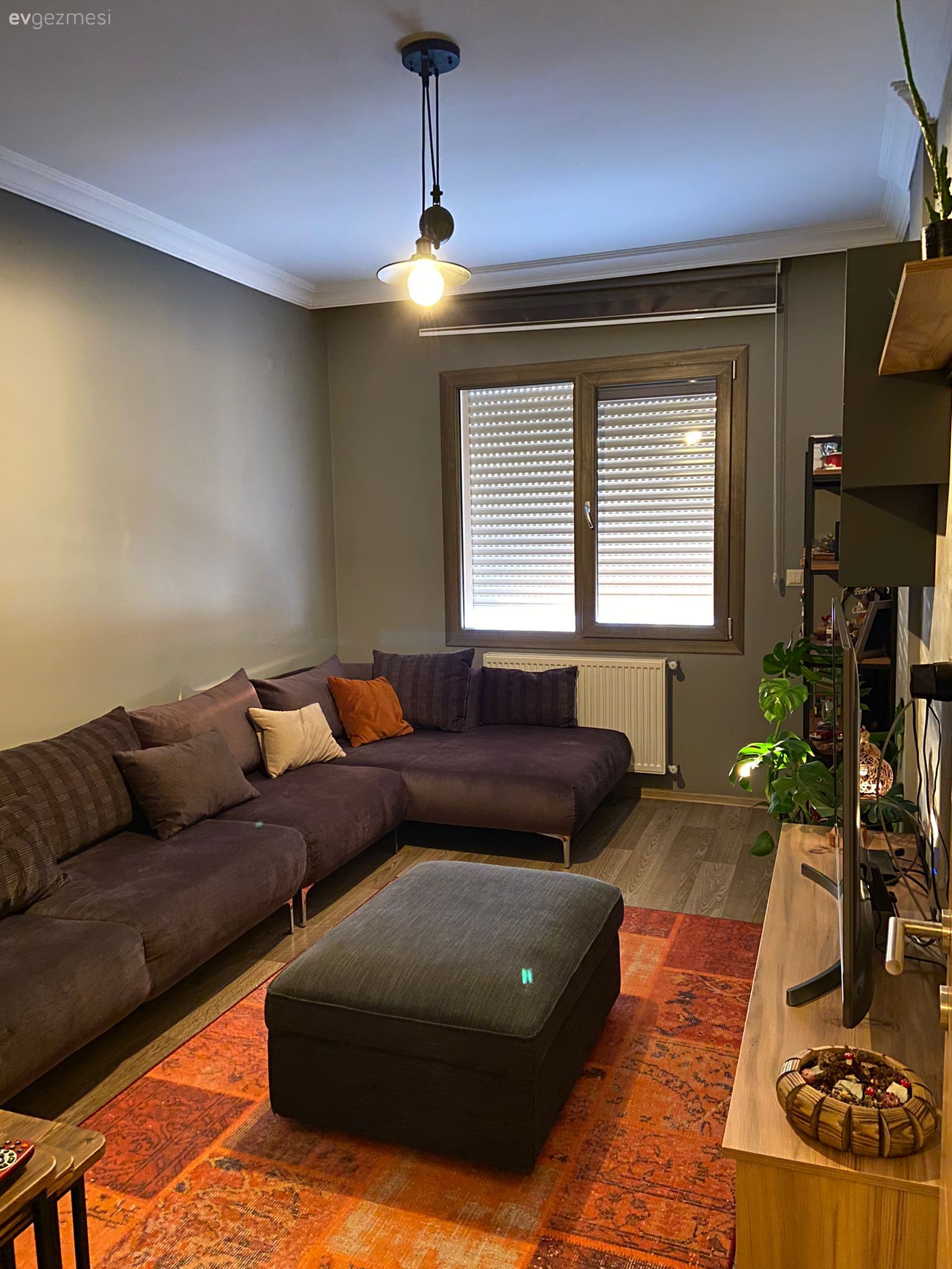 Oturma Odası, Modern, Gri, Turuncu, Köşe koltuk, Koltuk takımı, Kırlent, Ev tekstili, Orta sehpa, Sehpa, Halı, Salon halısı, Gri duvar, Ev bitkisi, Dekoratif Objeler, Avize, Aydınlatma, Jaluzi