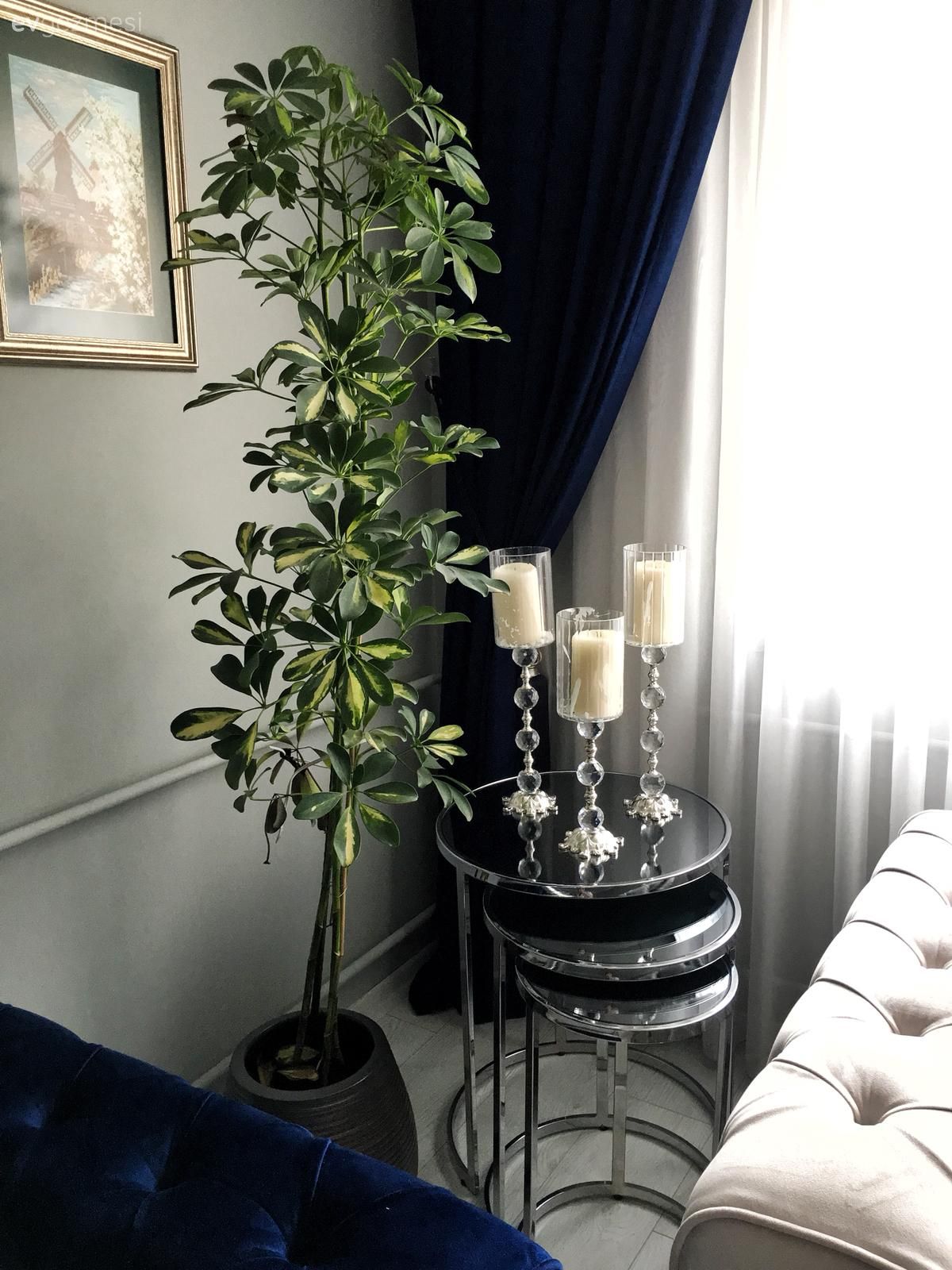 Salon, Parlament mavisi, Siyah, Zigon sehpa, Sehpa, Metal ayaklı sehpa, Gri duvar, Ev bitkisi, Fon perde, Perde, Tül perde