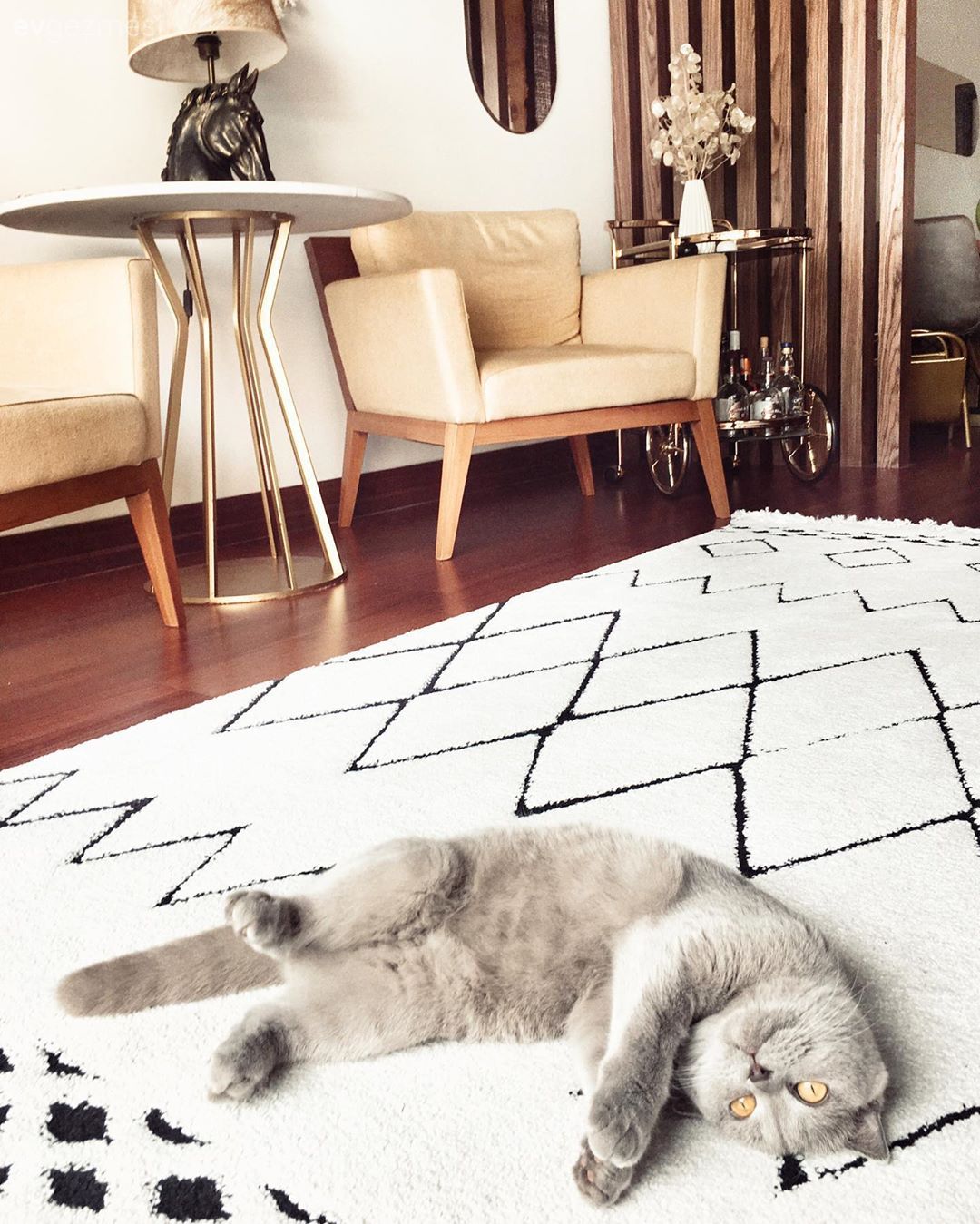 Samsun'dan Natürel Detaylarla Dolu Bohemce Bir Dekor