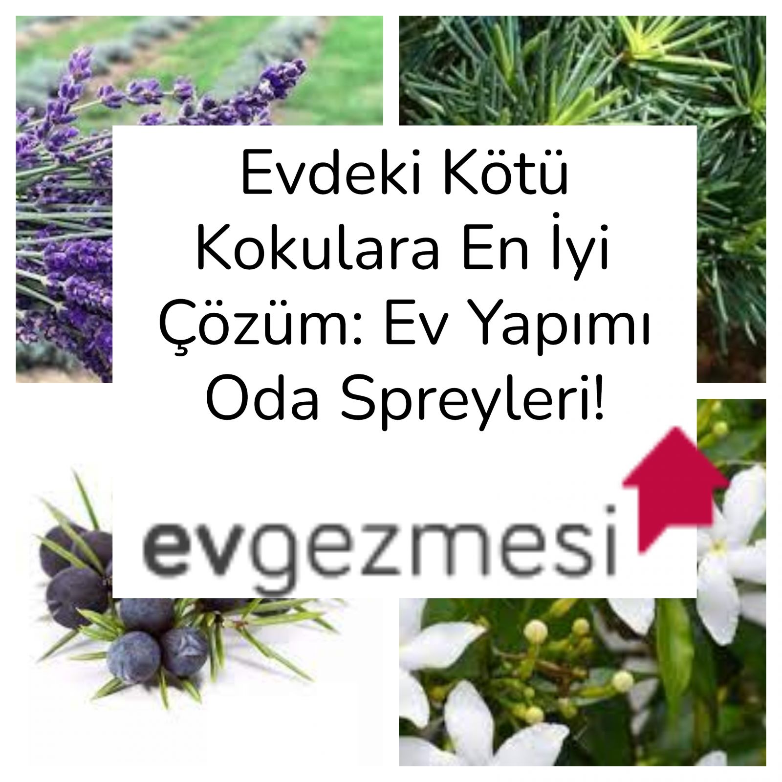 Evdeki Kötü Kokulara En İyi Çözüm: Ev Yapımı Oda Kokuları