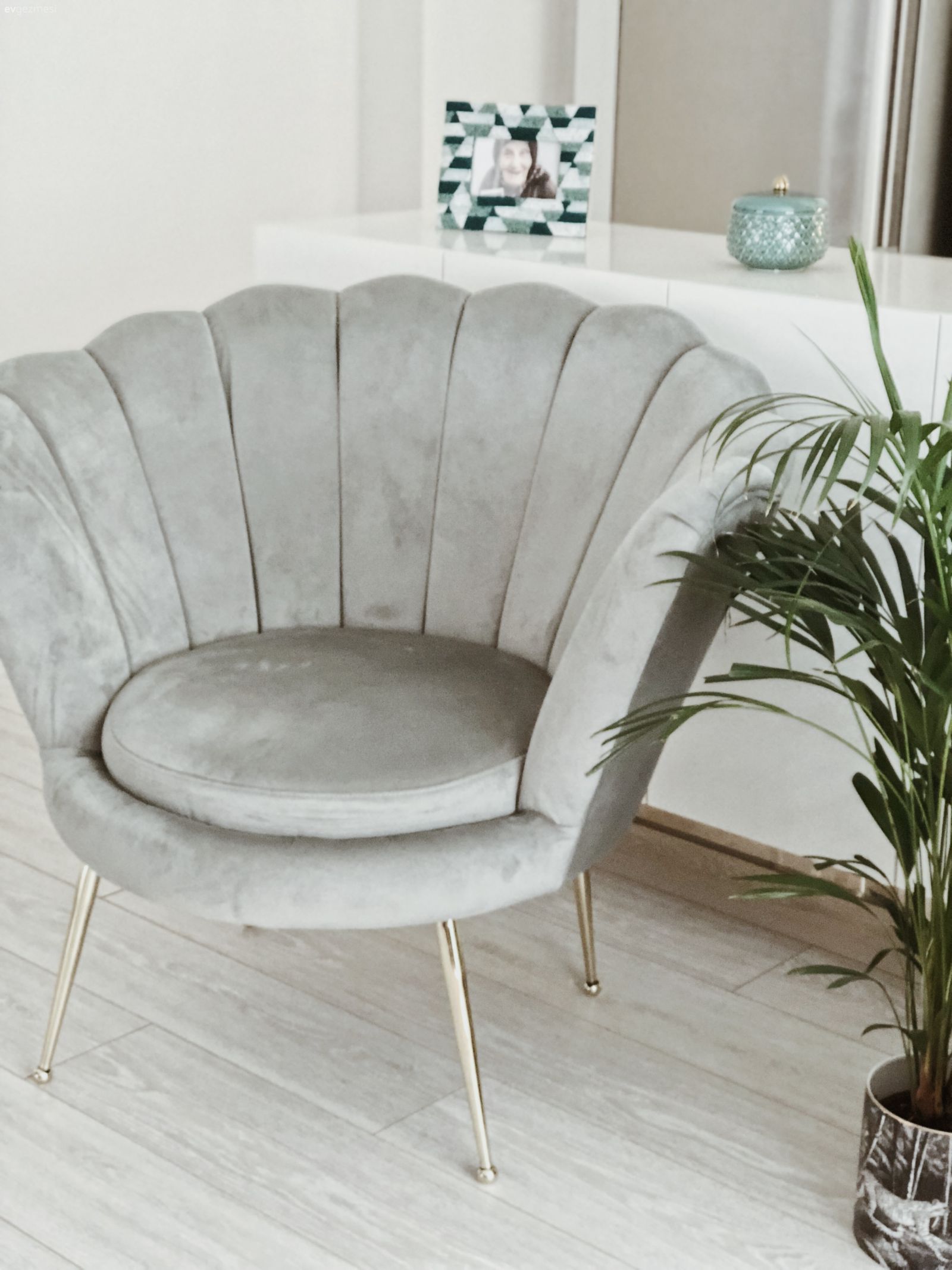 Salon, Büyük salon, Berjer, Yeşil, Beyaz, Modern, Vazo, Ev Aksesuar, Dekoratif Objeler, Altın, Ev bitkisi