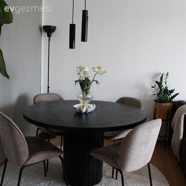 Siyah, Modern, Vizon, Yemek masası, Sandalye, Avize, Aydınlatma, Ev bitkisi, Vazo, Ev Aksesuar, Çiçekler