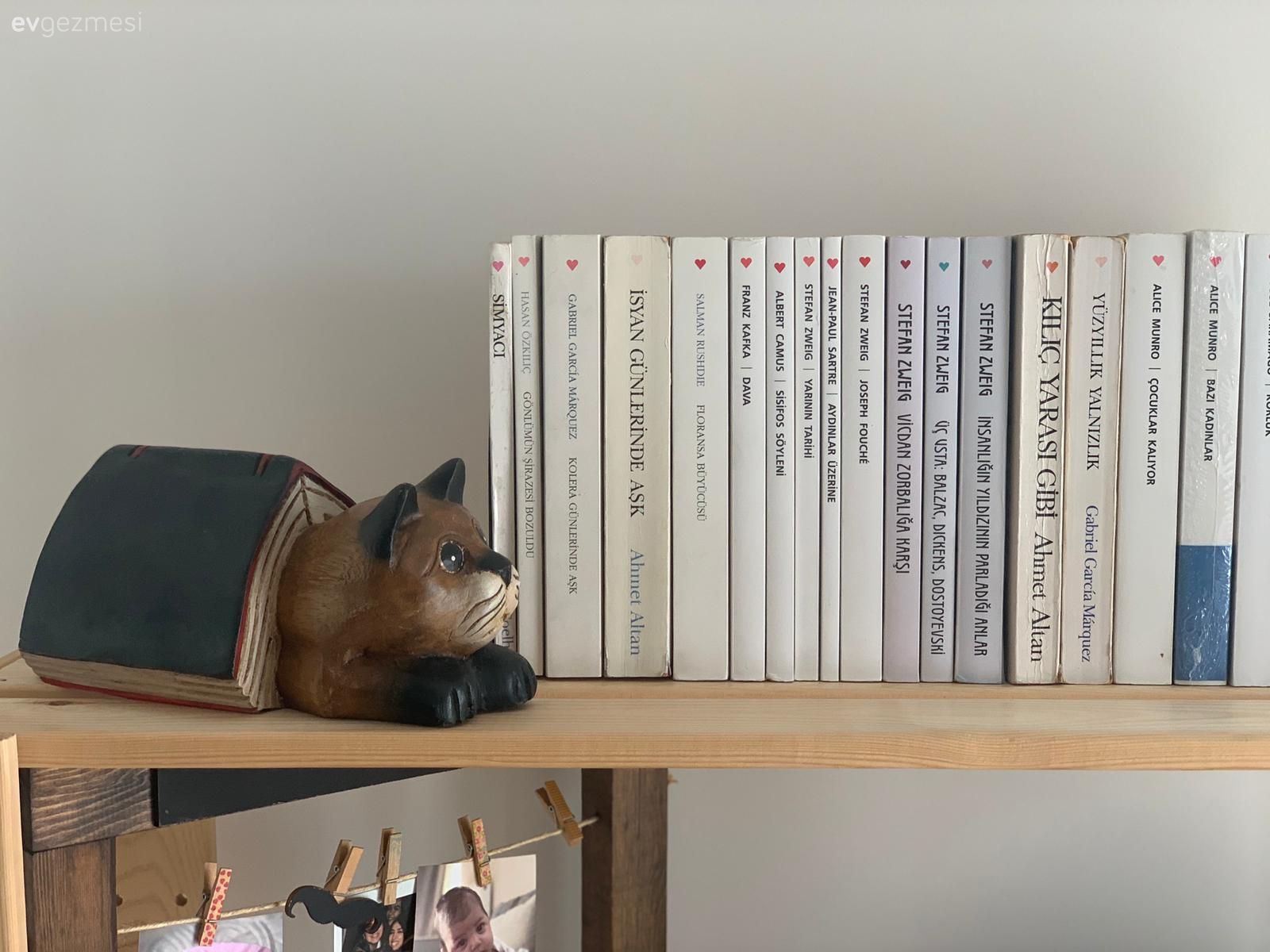 Kitaplık, Kitaplık dekoratif objeleri, Ev Aksesuar