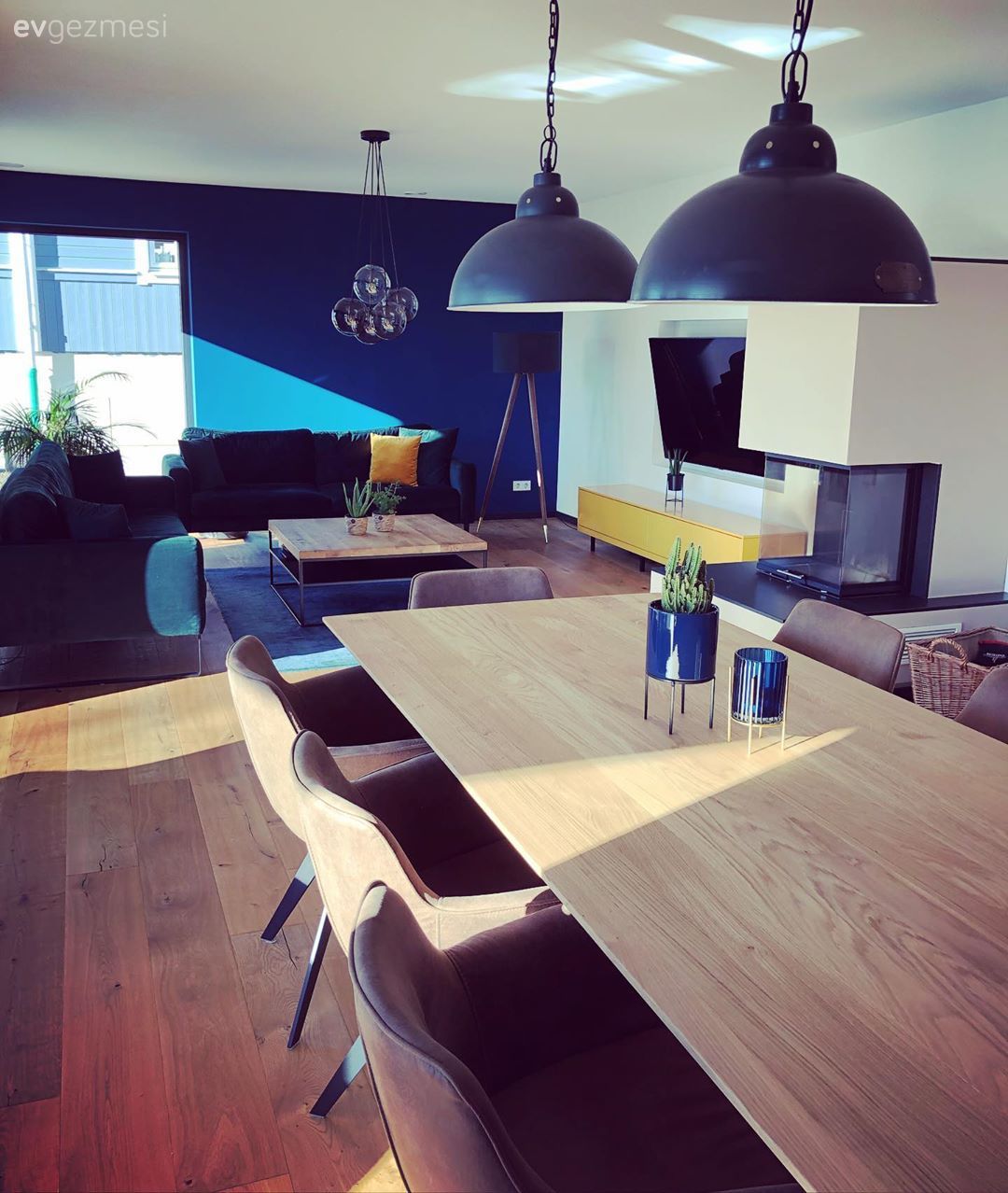 Salon, Modern rustik, Siyah, İndigo Mavisi, Sarı, Ahşap Mobilya, Mavi duvar, Koltuk takımı, Duvar dekorasyonu, Orta sehpa, Sehpa, Ev Aksesuar, Lambader, Aydınlatma, Avize, Salon avizesi, Halı, Salon halısı, Kırlent, Ev tekstili, Parke, Yemek masası, Sandalye, Tv ünitesi, Tv ünitesi aksesuarları