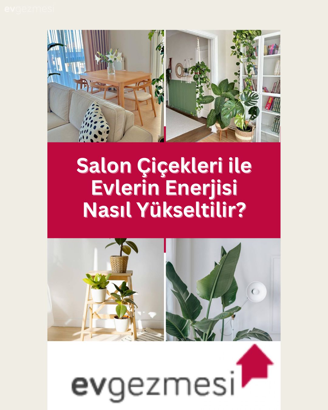 Salon Çiçekleri ile Evlerin Enerjisi Nasıl Yükseltilir?
