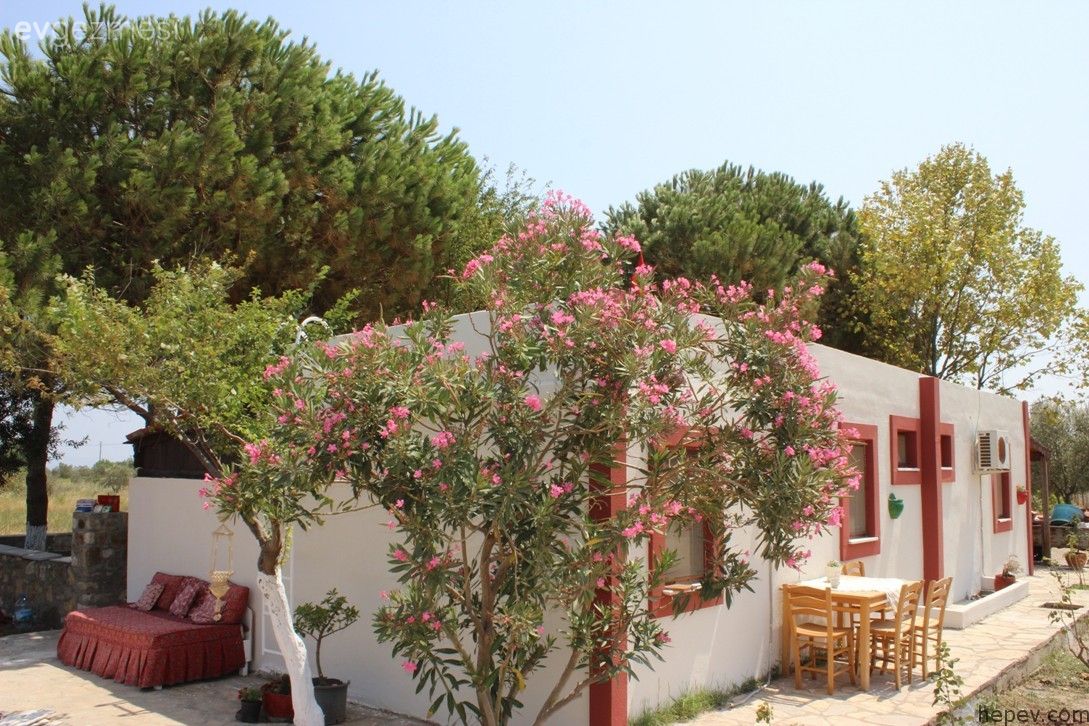 Bağ Evi İç ve Dış Dekorasyonu İle İlgili Modeller