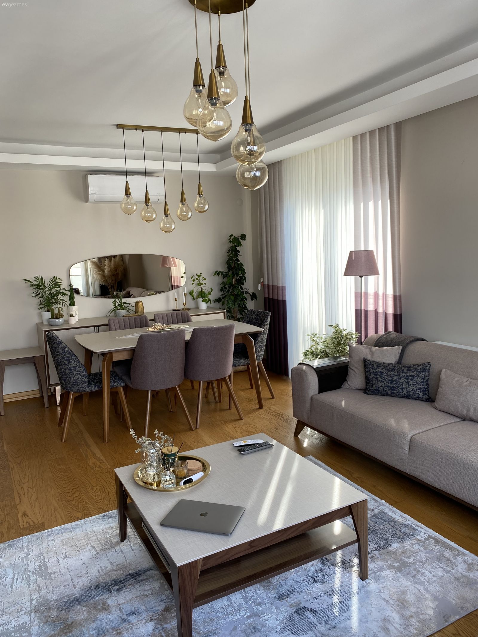 Salon, Modern, Koltuk takımı, Gri, Beyaz, Vizon, Ev Aksesuar, Orta sehpa, Sehpa, Halı, Salon halısı, Avize, Aydınlatma, Salon avizesi, Boy aynası, Ayna, Vazo, Lambader, Kırlent, Ev tekstili, Yemek masası, Sandalye