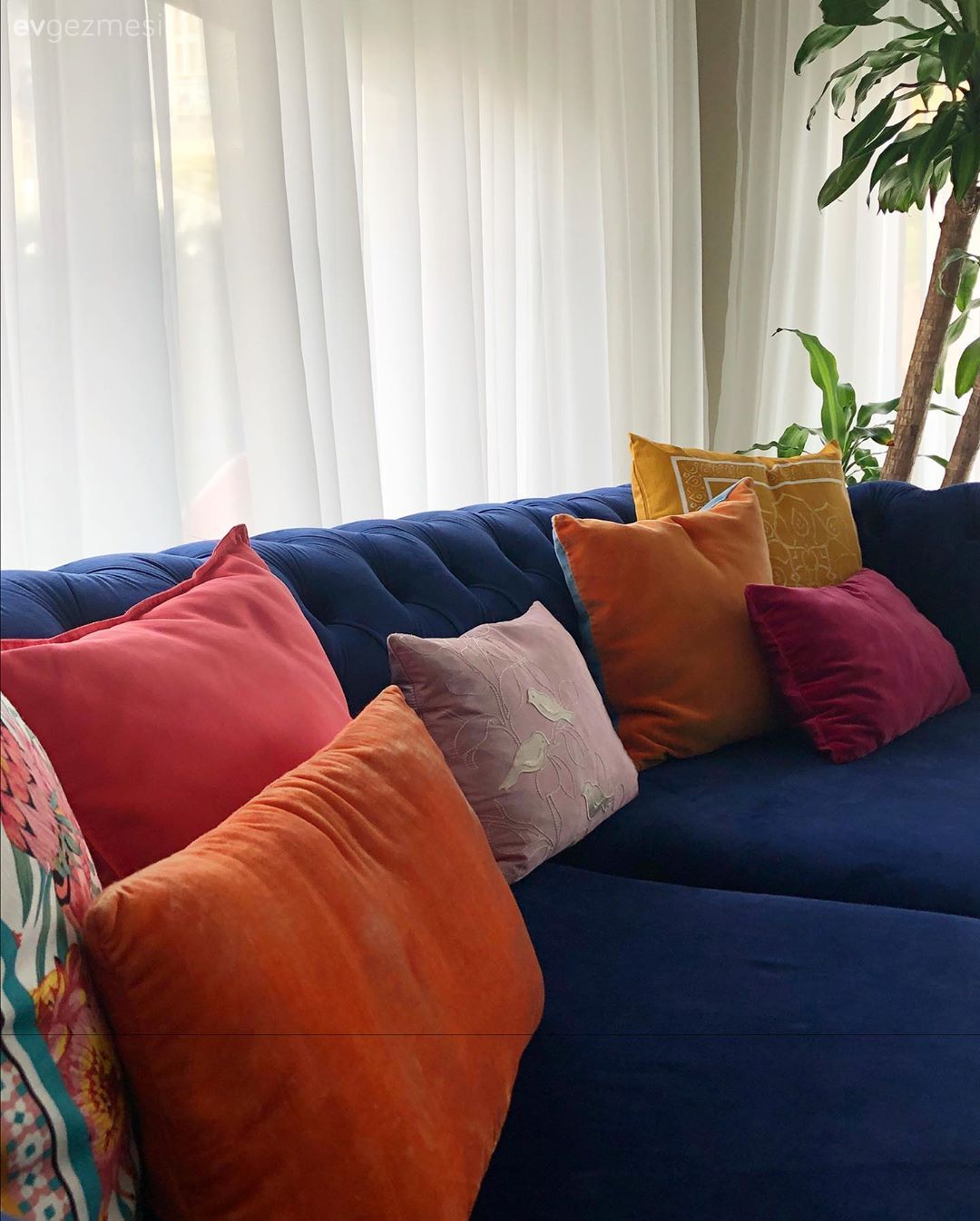 Salon, Modern chesterfield, Parlament mavisi, Tül perde, Perde, Kırlent, Turuncu, Pembe, Sarı, Çiçekli desen, Desenler, Ev bitkisi