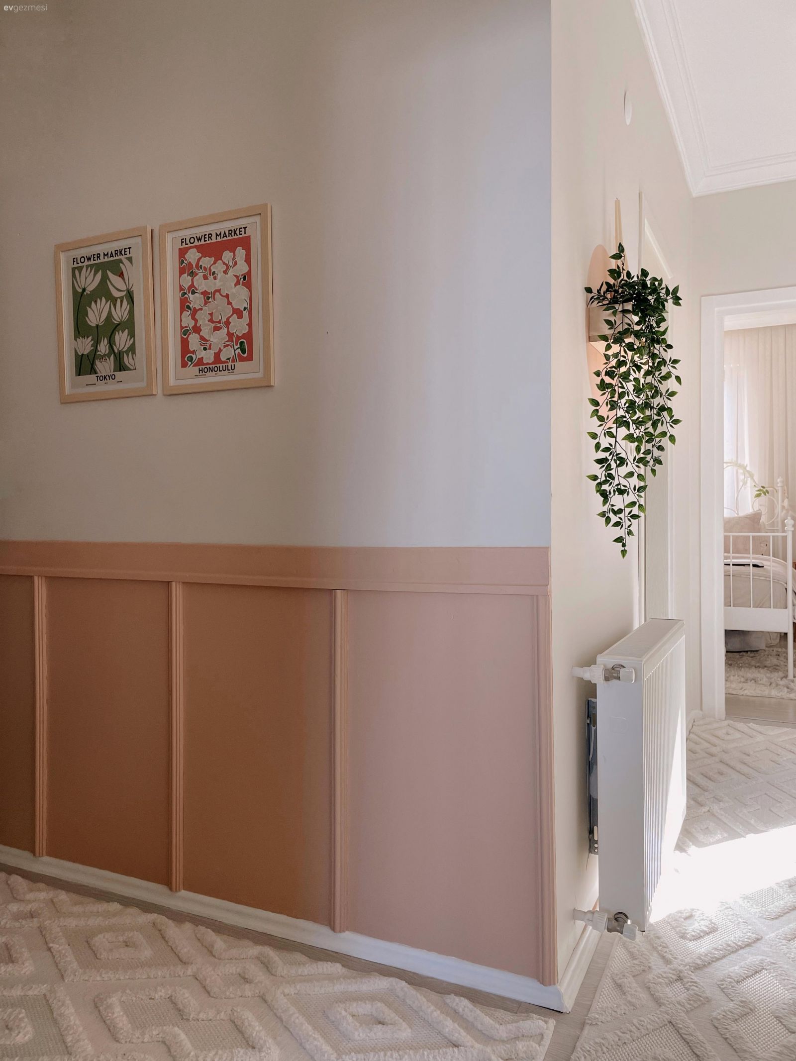 Antre, Beyaz, Somon Rengi, Duvar çıtalama, Ev bitkisi, Antre halısı