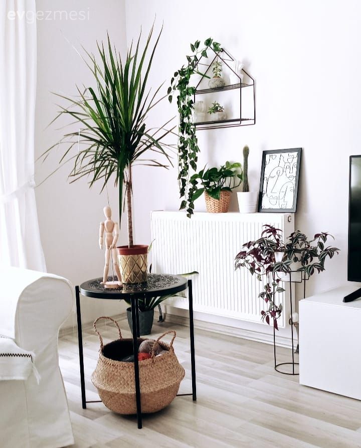 Beyaz, Siyah, Yan sehpa, Sehpa, Duvar rafı, Duvar dekorasyonu, Parke, Ev bitkisi, Tv ünitesi, Tv ünitesi aksesuarları, Ev Aksesuar