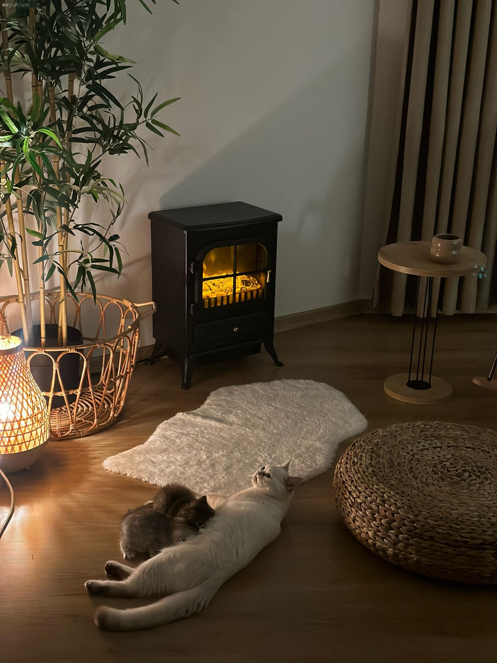 Bu Samimi Dekorun Yıldız Parçası Yeşil Halı