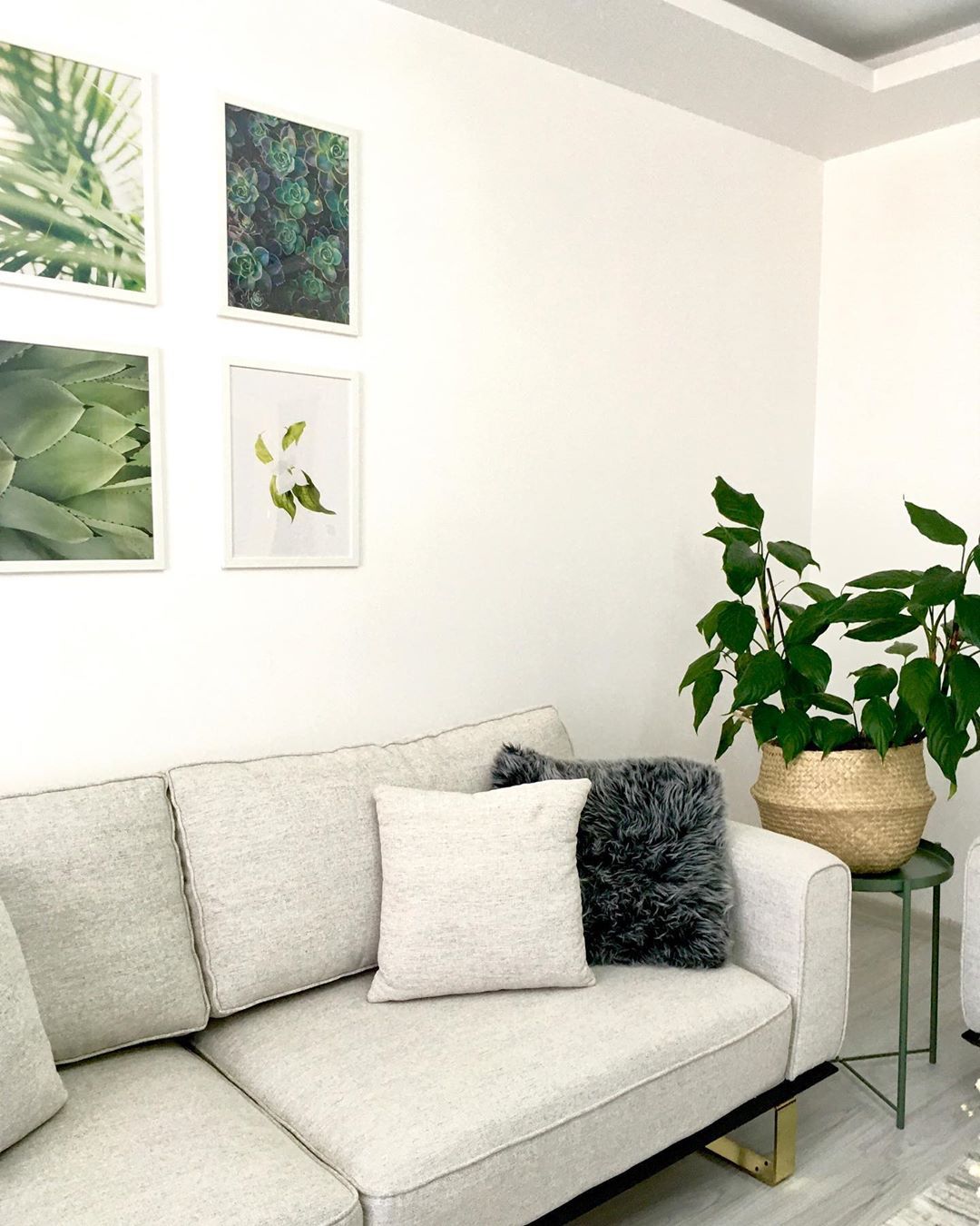 Bu Keyifli Evde Bitkilerin Enerjisi Göz Ardı Edilmemiş!