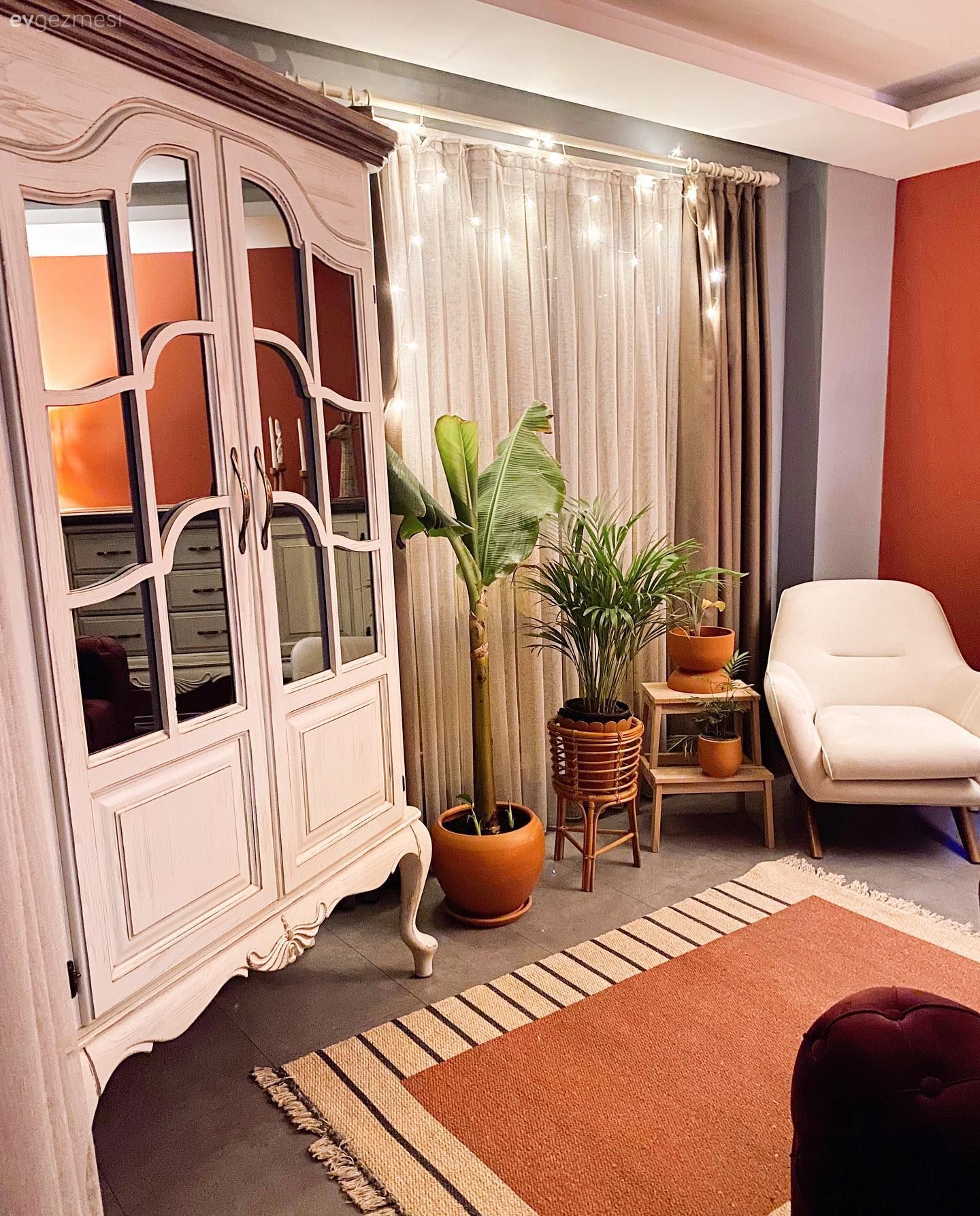 Turuncu duvar rengi, Beyaz, Krem, Vitrin, Tül perde, Perde, Saksı, Ev bitkisi, Halı, Salon halısı