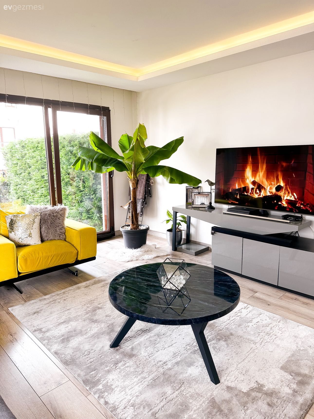 Salon, Modern, Antrasit  , Sarı, Siyah, Krem, Bej, Koltuk takımı, Berjer, Kırlent, Ev tekstili, Fon perde, Perde, Tül perde, Orta sehpa, Sehpa, Tv ünitesi, Tv ünitesi aksesuarları, Ev Aksesuar, Saksı, Ev bitkisi