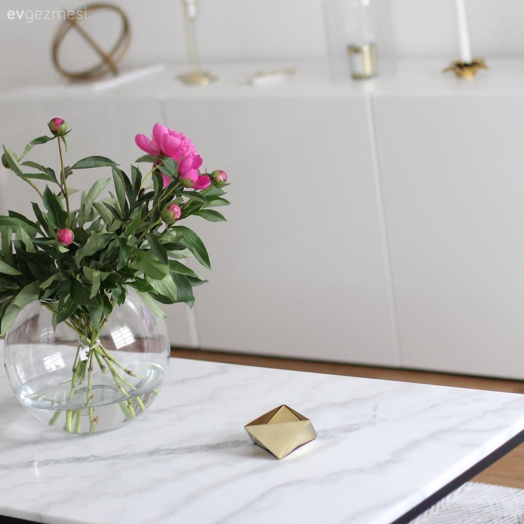 Beyaz, Pembe, Orta sehpa, Sehpa, Vazo, Ev Aksesuar, Sehpa üstü aksesuarı, Çiçekler, Tv ünitesi