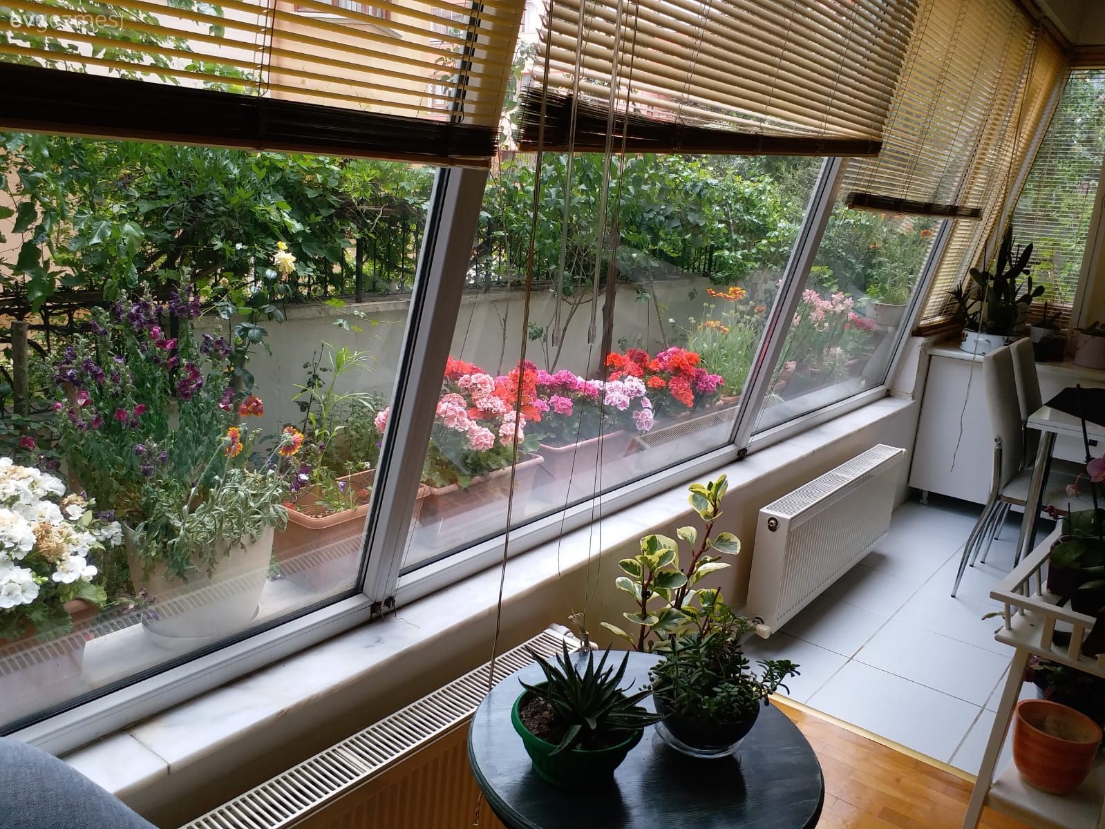 Katlamalı perde, Perde, Gri, Berjer, Çiçekler, Saksı, Ev bitkisi