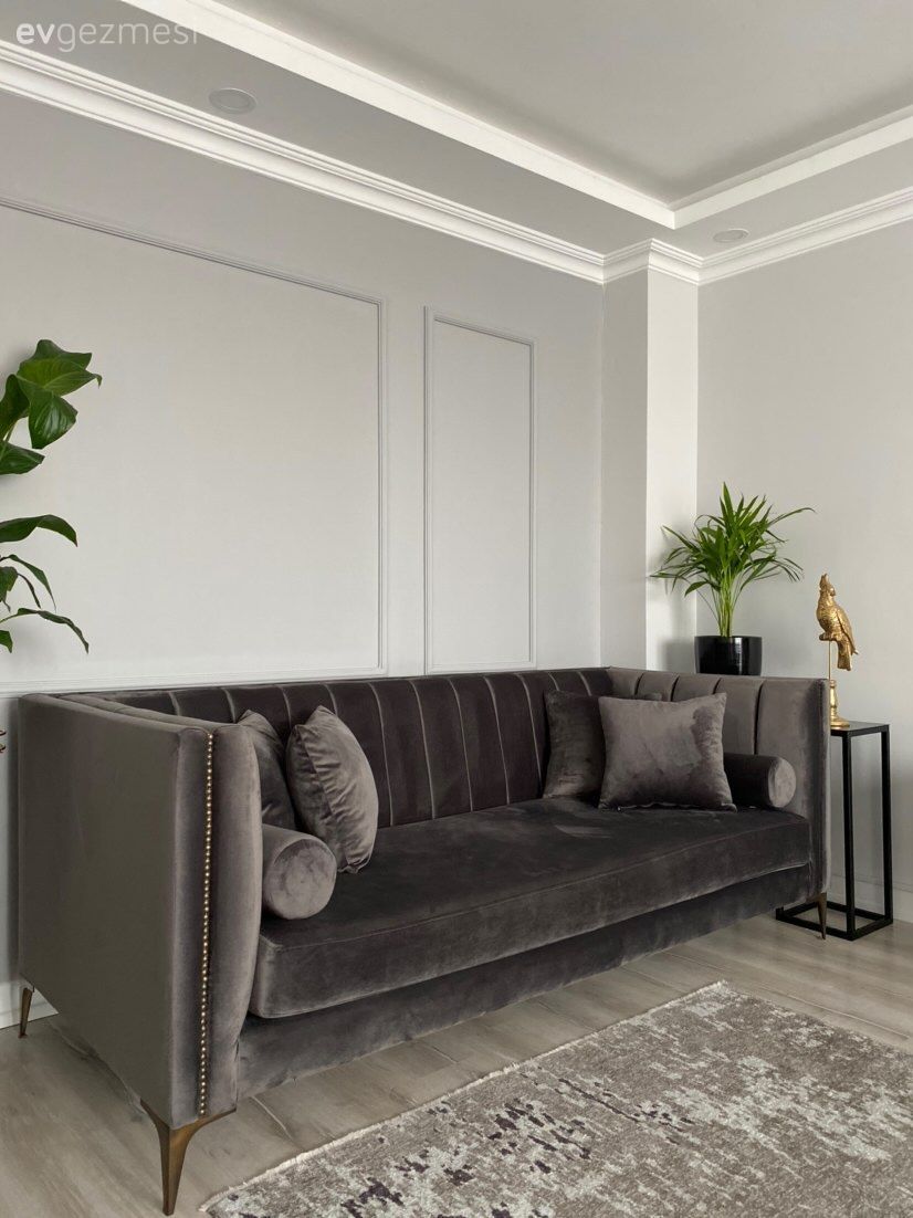 Gri duvar, Gri, Füme, Siyah, Duvar çıtalama, Ev bitkisi, Koltuk takımı, Halı, Salon halısı, Kırlent, Ev tekstili