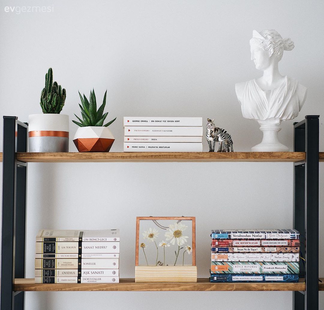 Kitaplık, Kitaplık dekoratif objeleri, Ev Aksesuar, Ev bitkisi