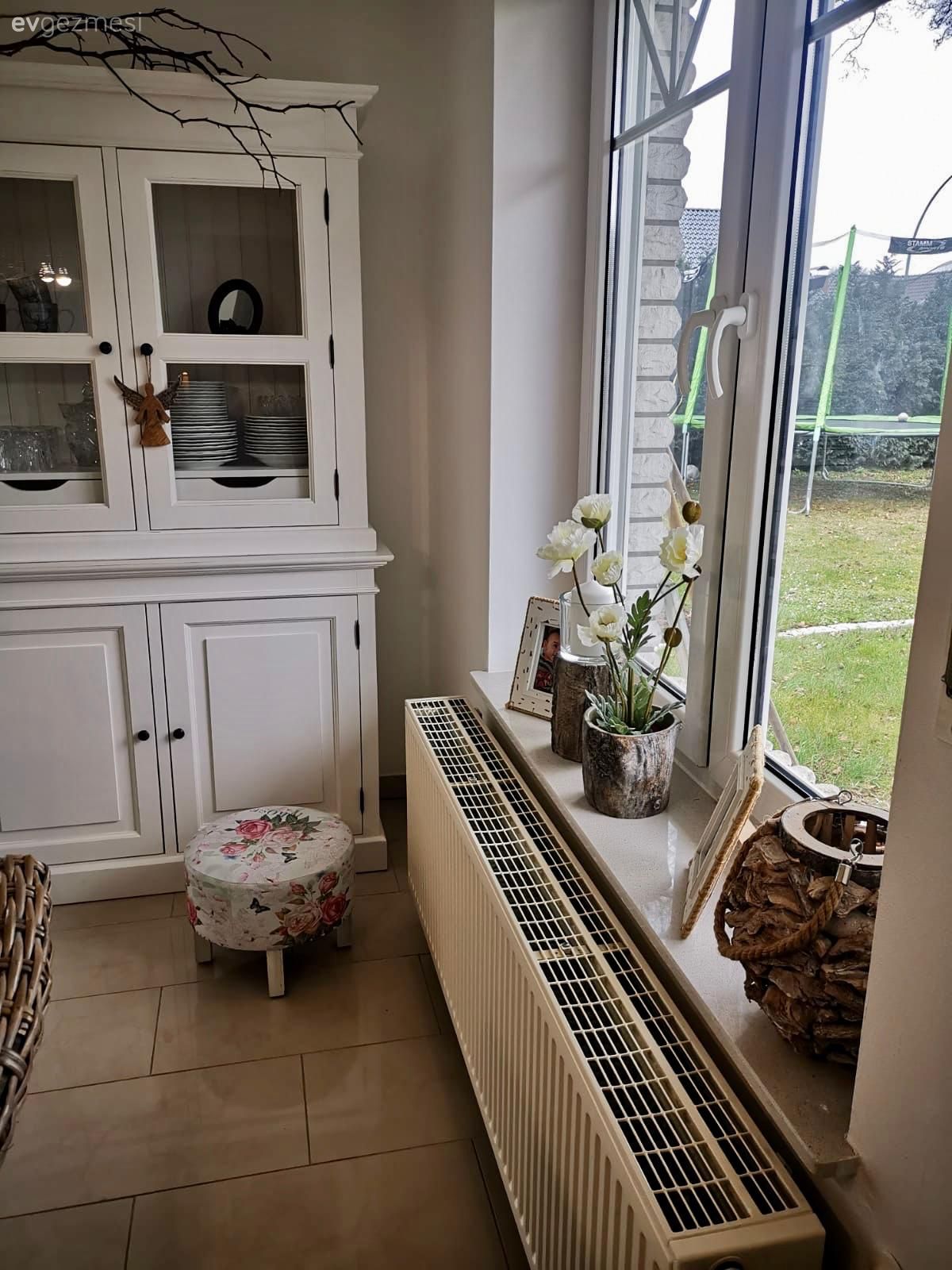 Beyaz, Dolap, Çiçekler, Saksı