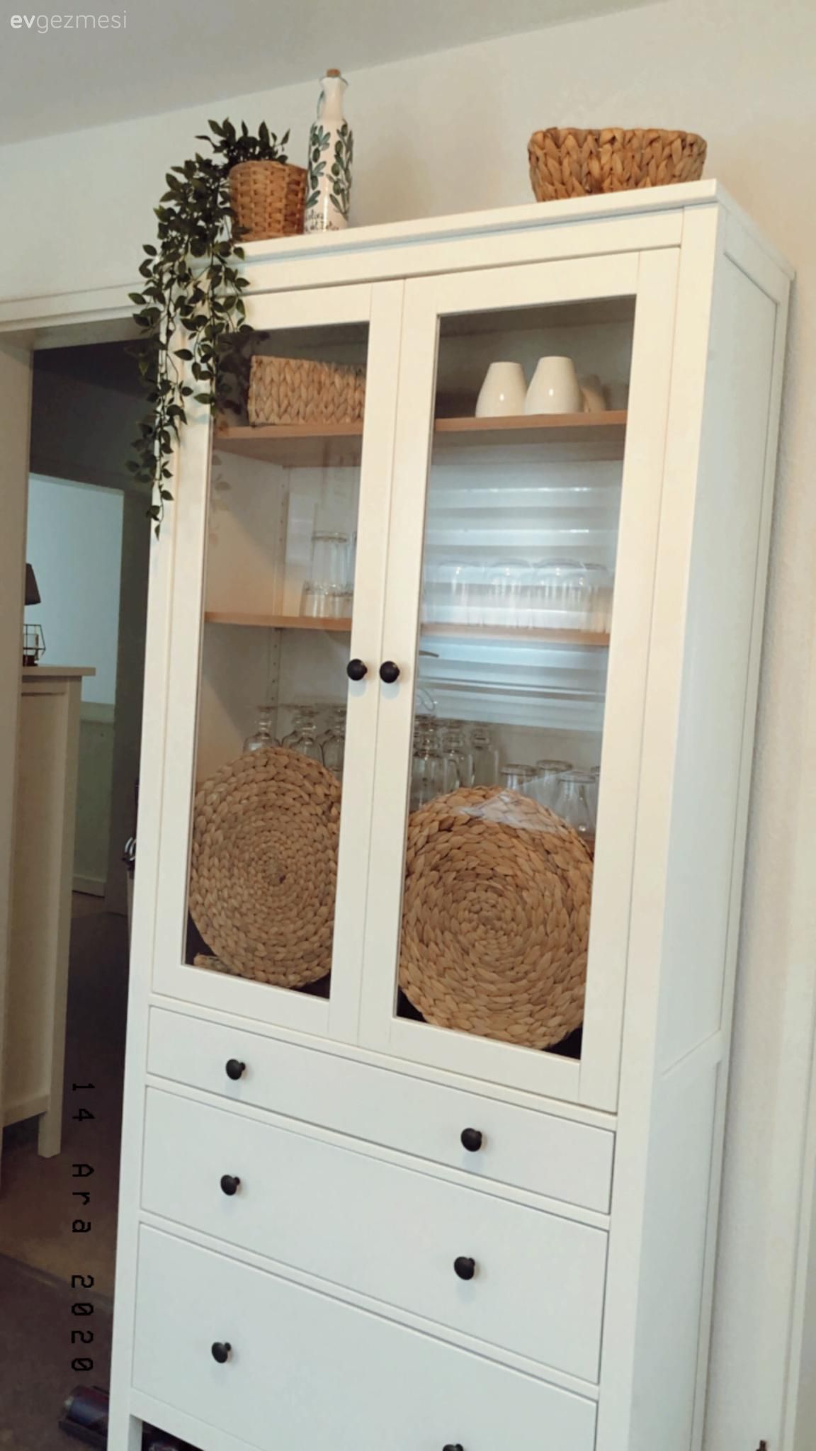 Beyaz, Vitrin, Ev bitkisi