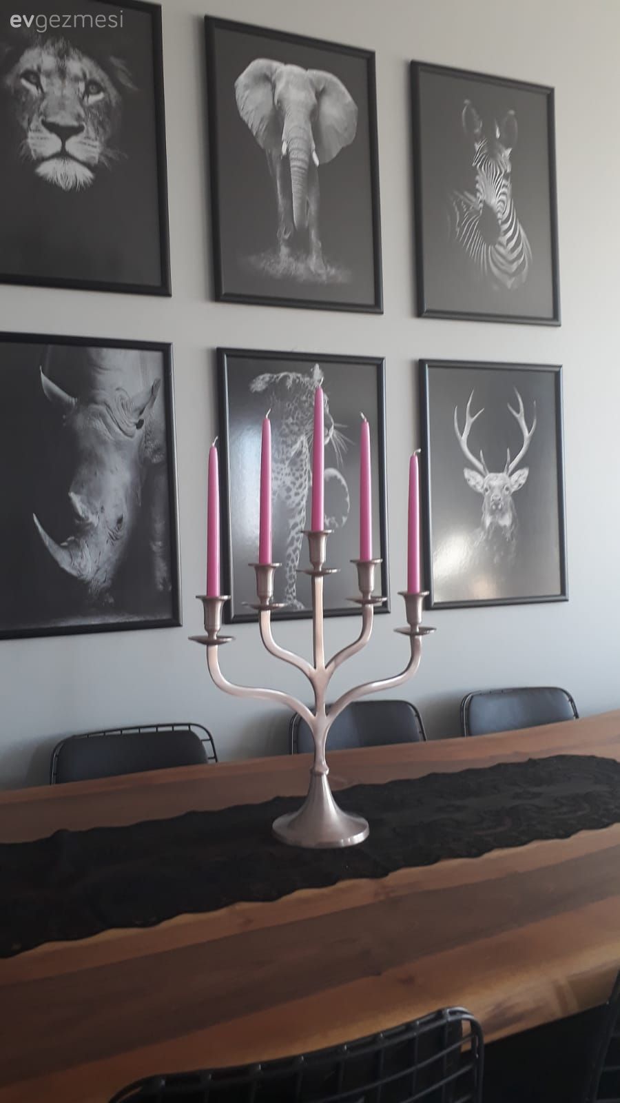 Kendine Özgü Bu  Ankara Evi, Doğayı Vahşi Haliyle Seviyor