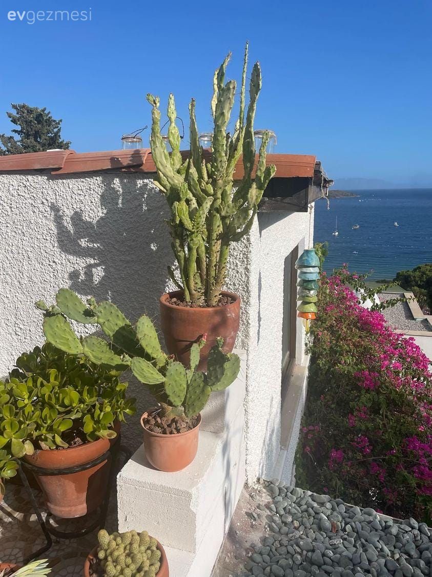 Denize Bakan Bu Teras Bolca Emek Sonunda Bu Hâle Gelmiş!